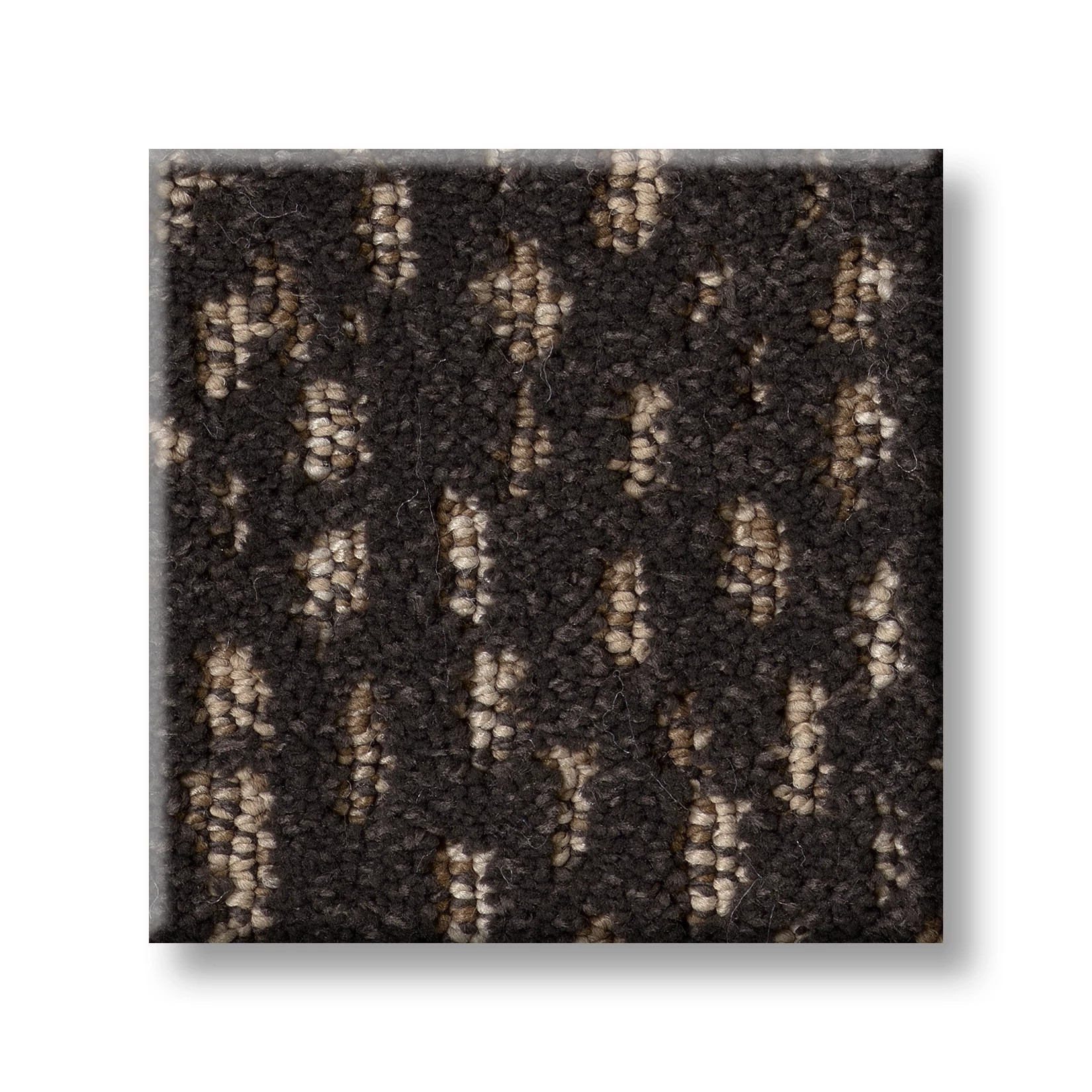 AMBITIOUS DARK ROAST SWATCH