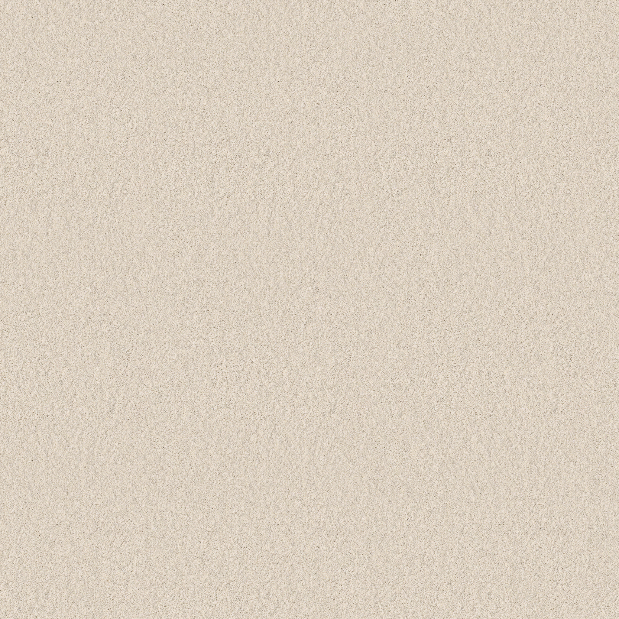 ENDURING CHARM CLOUD MAIN