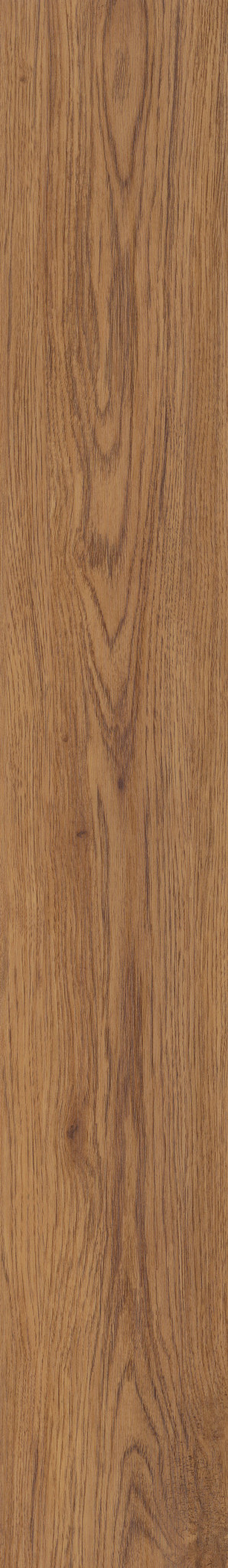 MARSH OAK 1TO1
