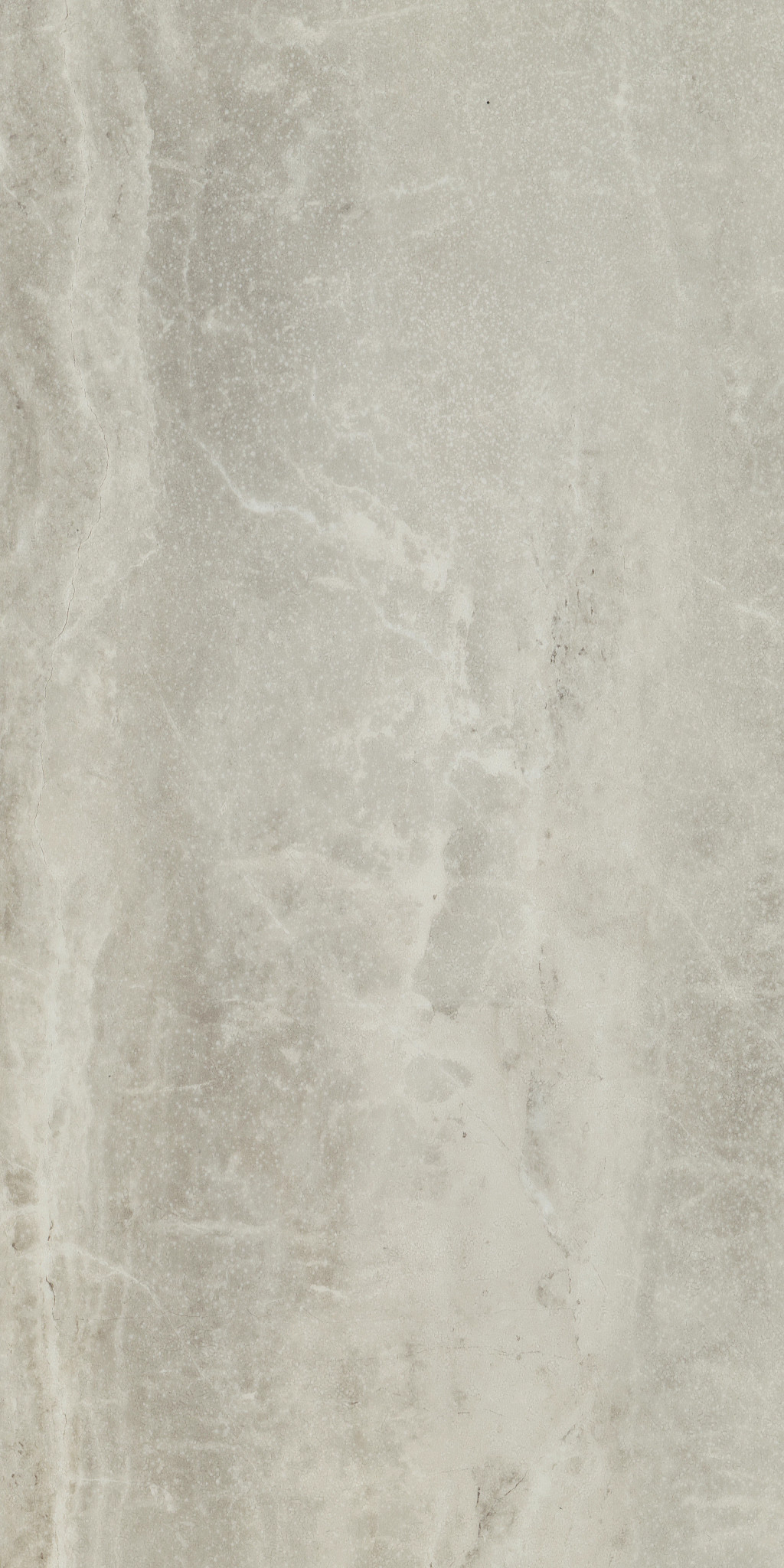 PARAGON TILE PLUS MIST 1TO1