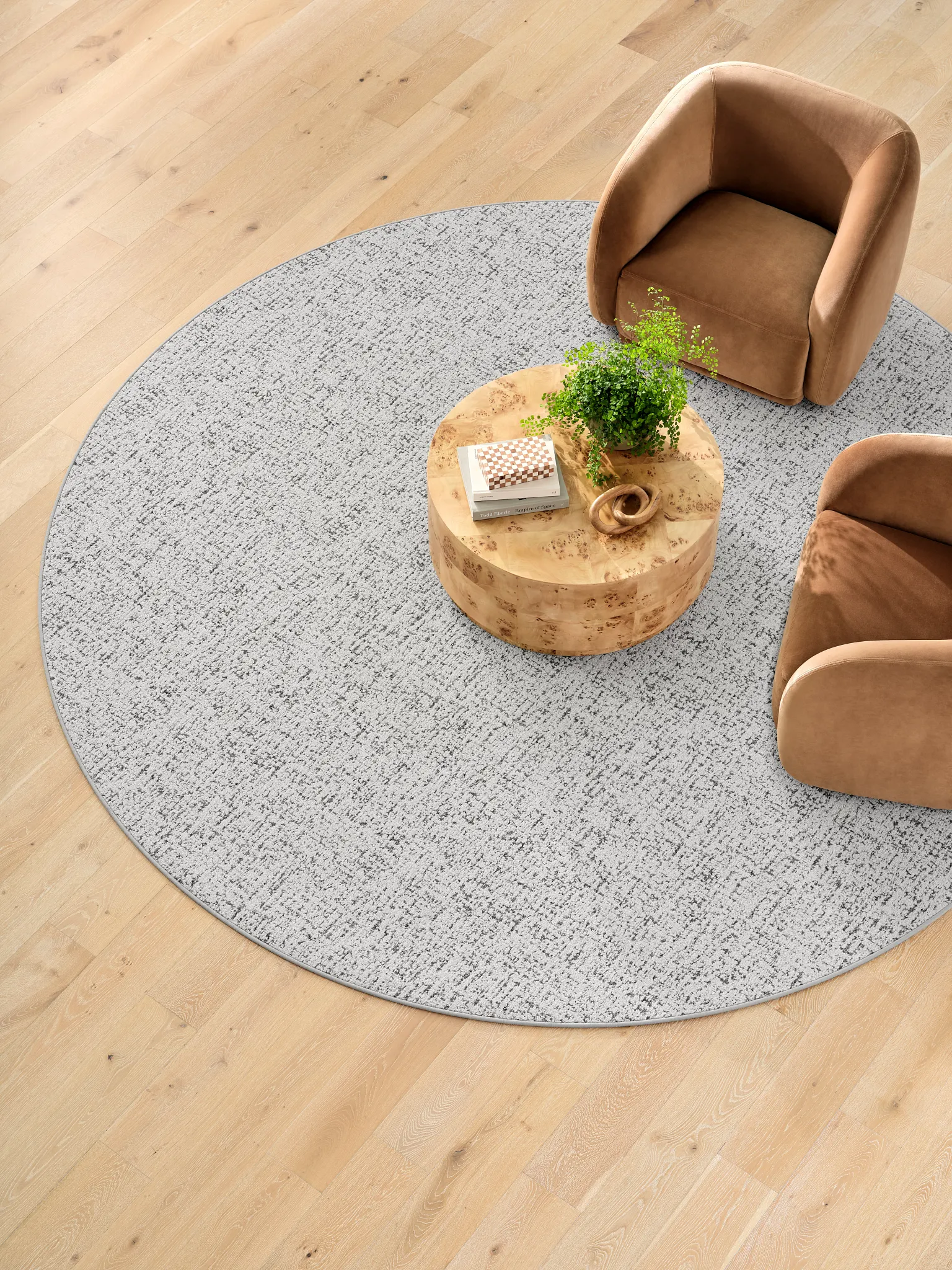 Beige area rug in a modern living room with wooden flooring