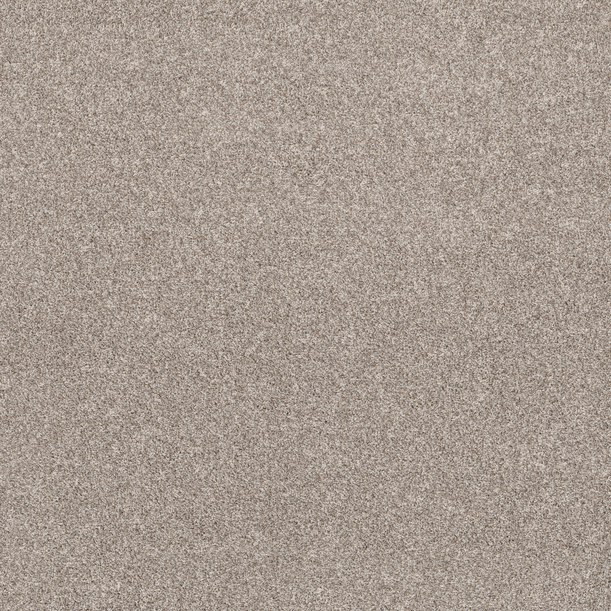 VIA NOVA SPUN COTTON MAIN