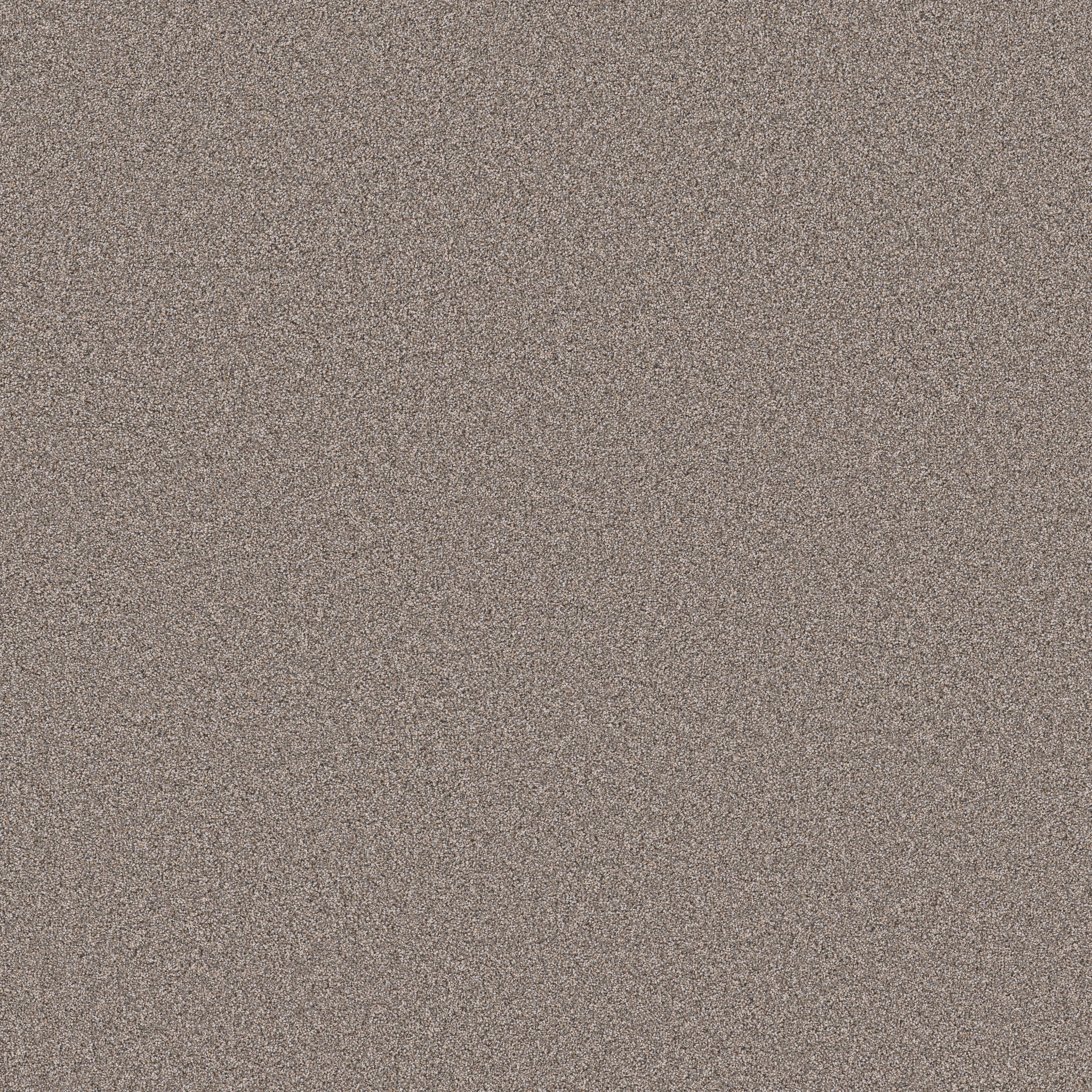 BLENDED TOUCH I HOUNDSTOOTH MAIN