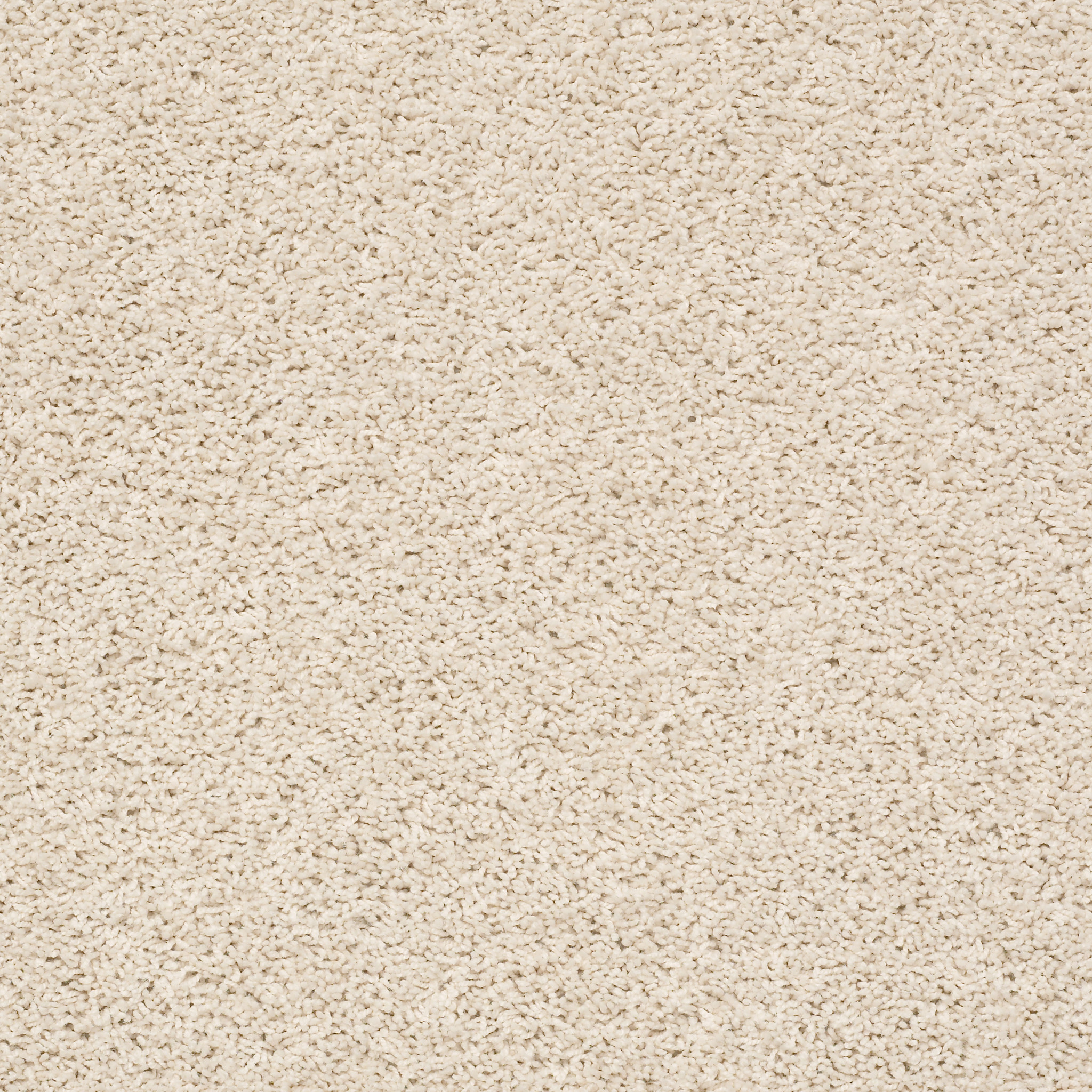 DEL MORRO DESERT STAR MAIN