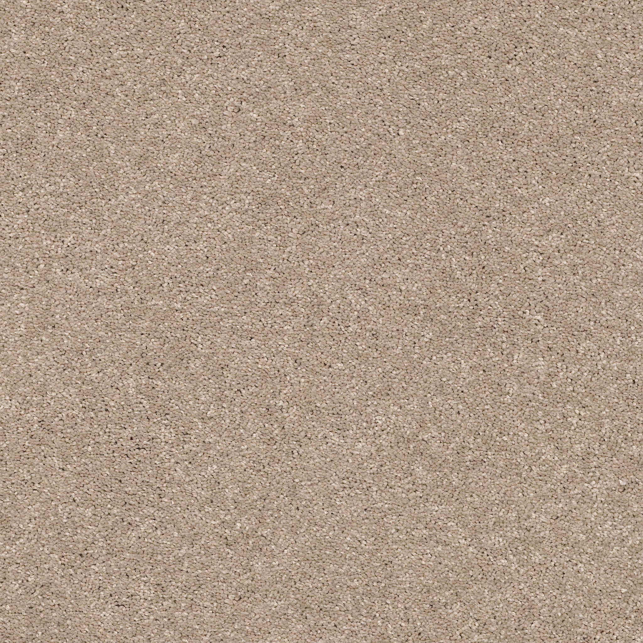 BASIC RULES TOAST MAIN