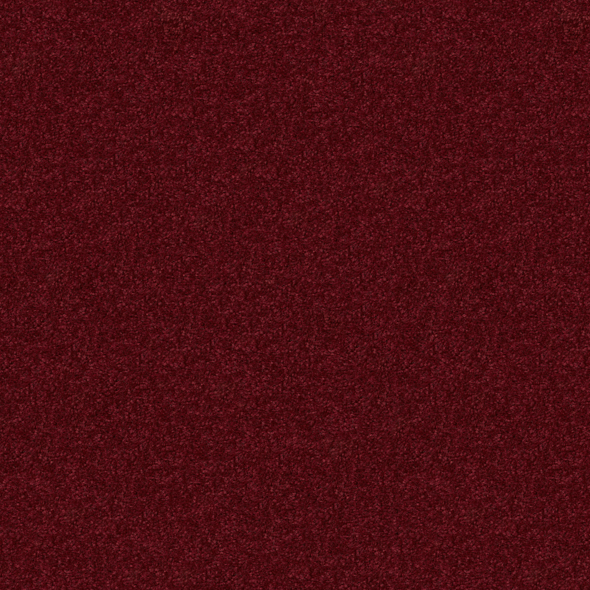 ALL STAR WEEKEND II 12' RED WINE MAIN