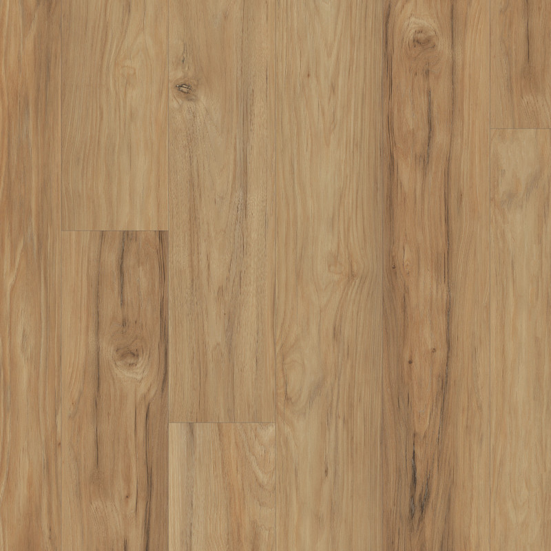 IGNITE in Golden Flare by Shaw Floors