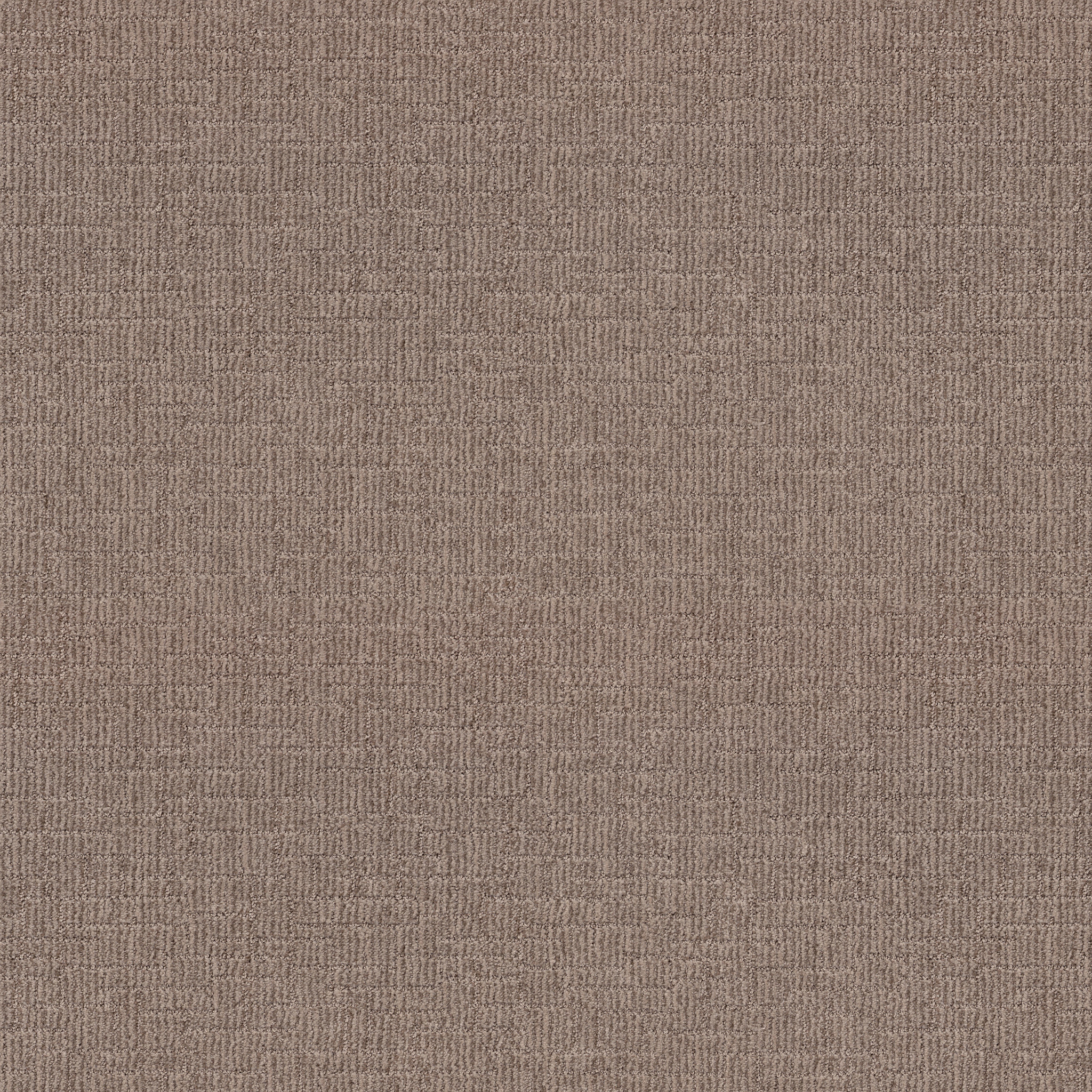 WAYFARER DRIFTWOOD MAIN