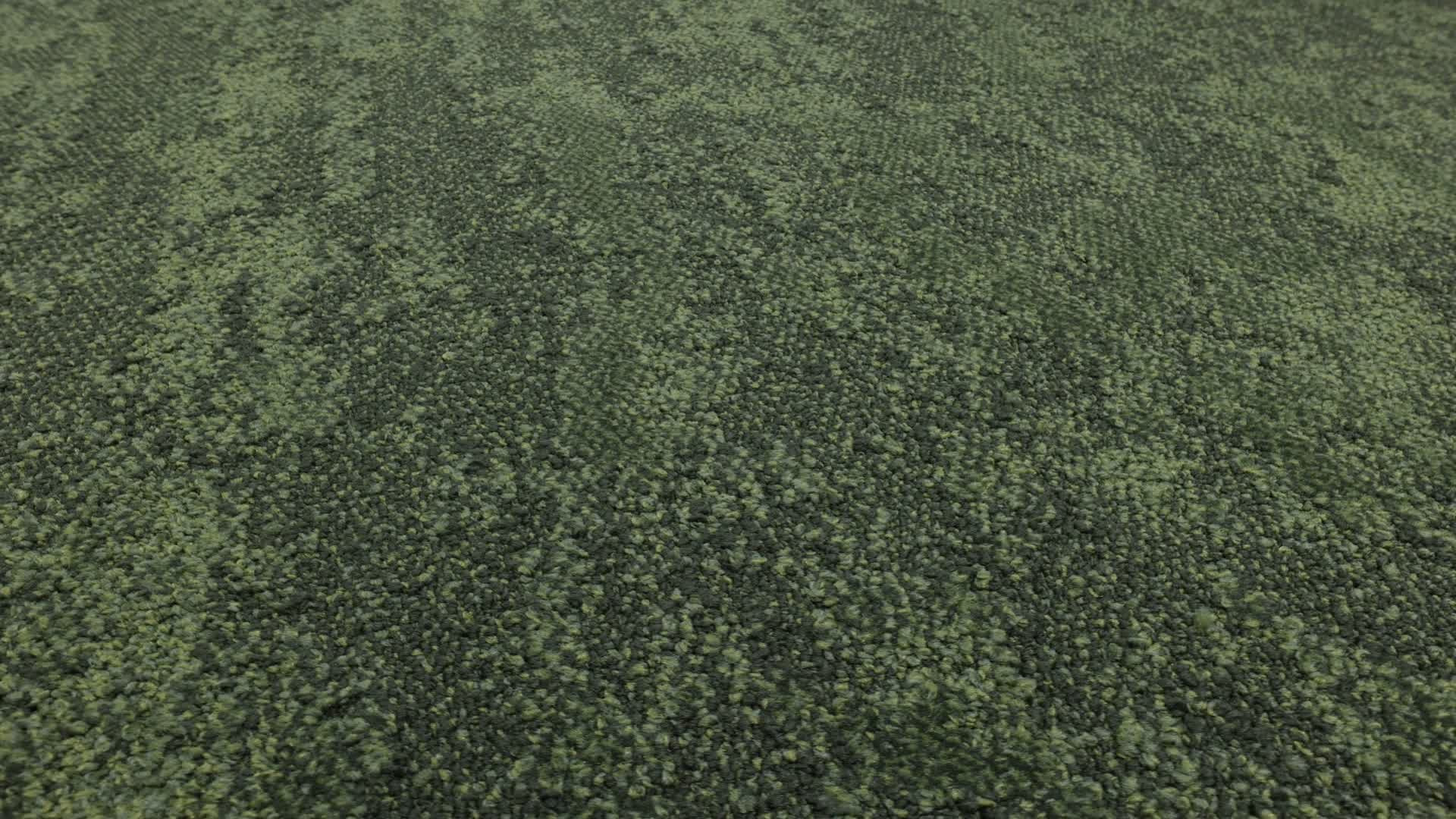 Seek Tile Moss Rotation360