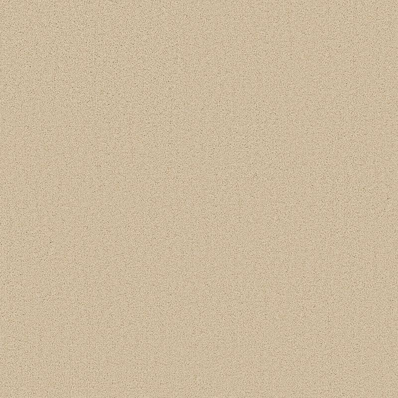 Something Sweet Broadloom Carpet in Mindful Gray, 12ft width, 100% nylon material