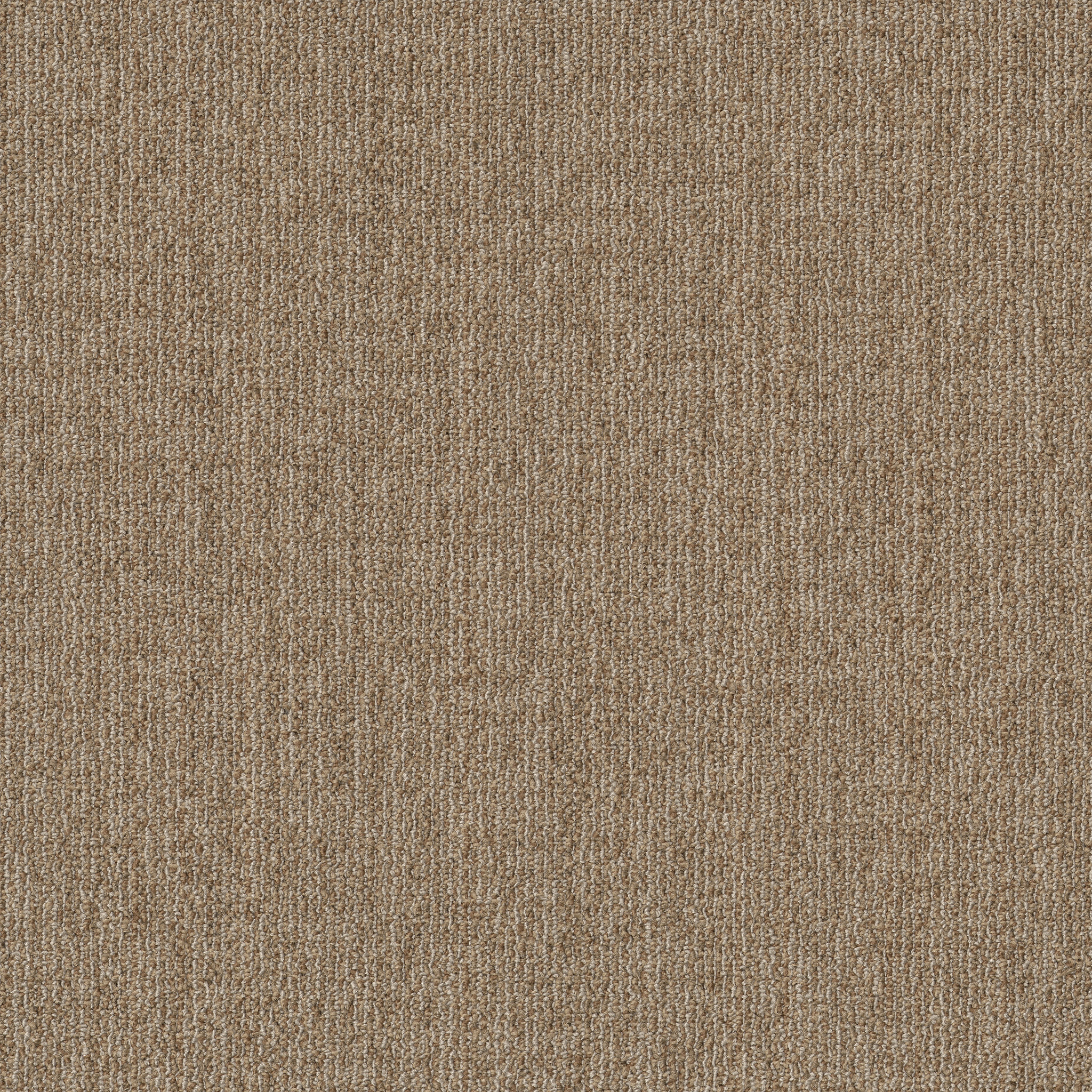 MUTED-RHYTHMS-TL-55013-WINDSOR-TAN-00208-main-image