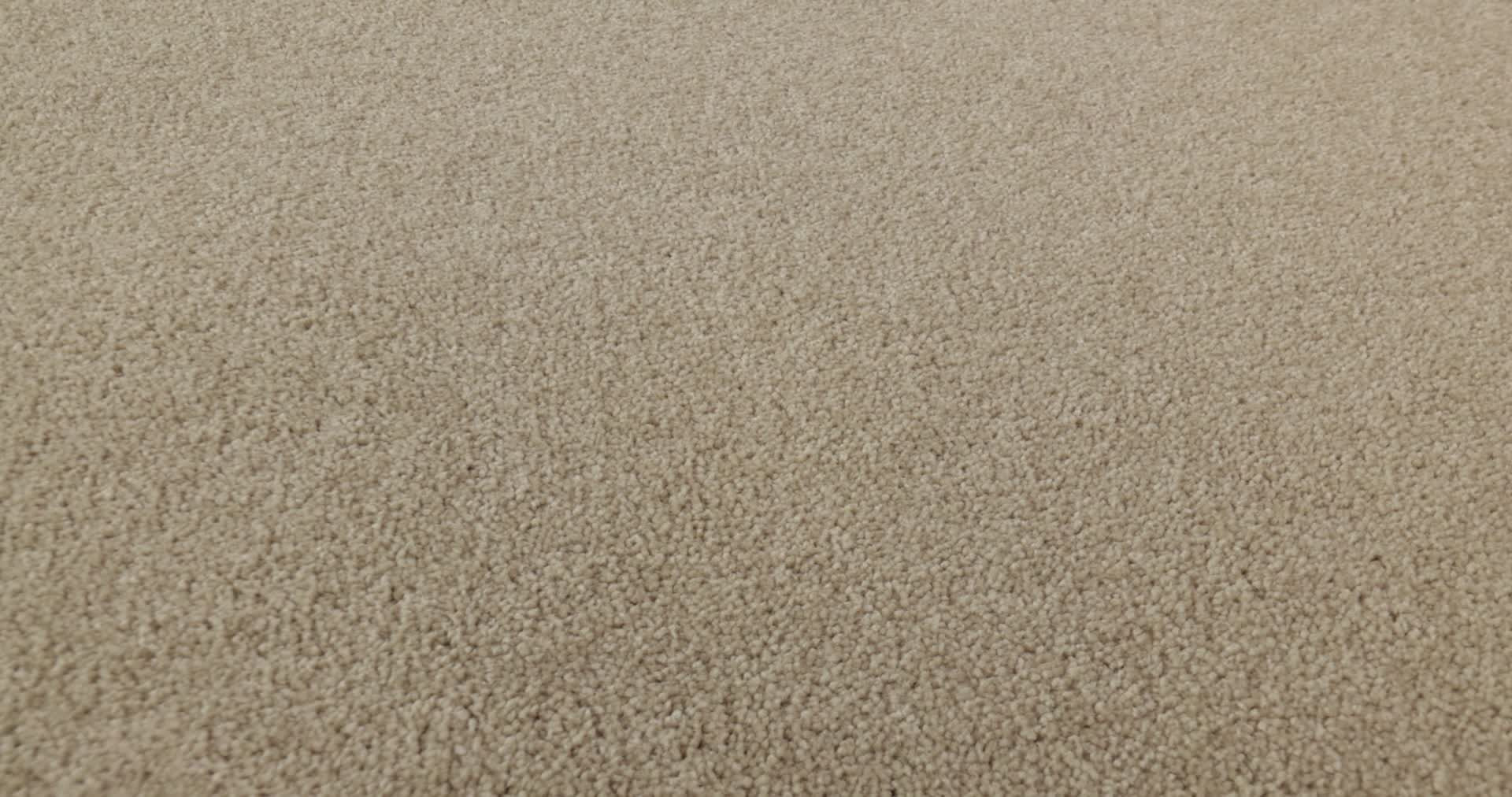 WELL GROUNDED I 12 RAW LUMBER 360PROD