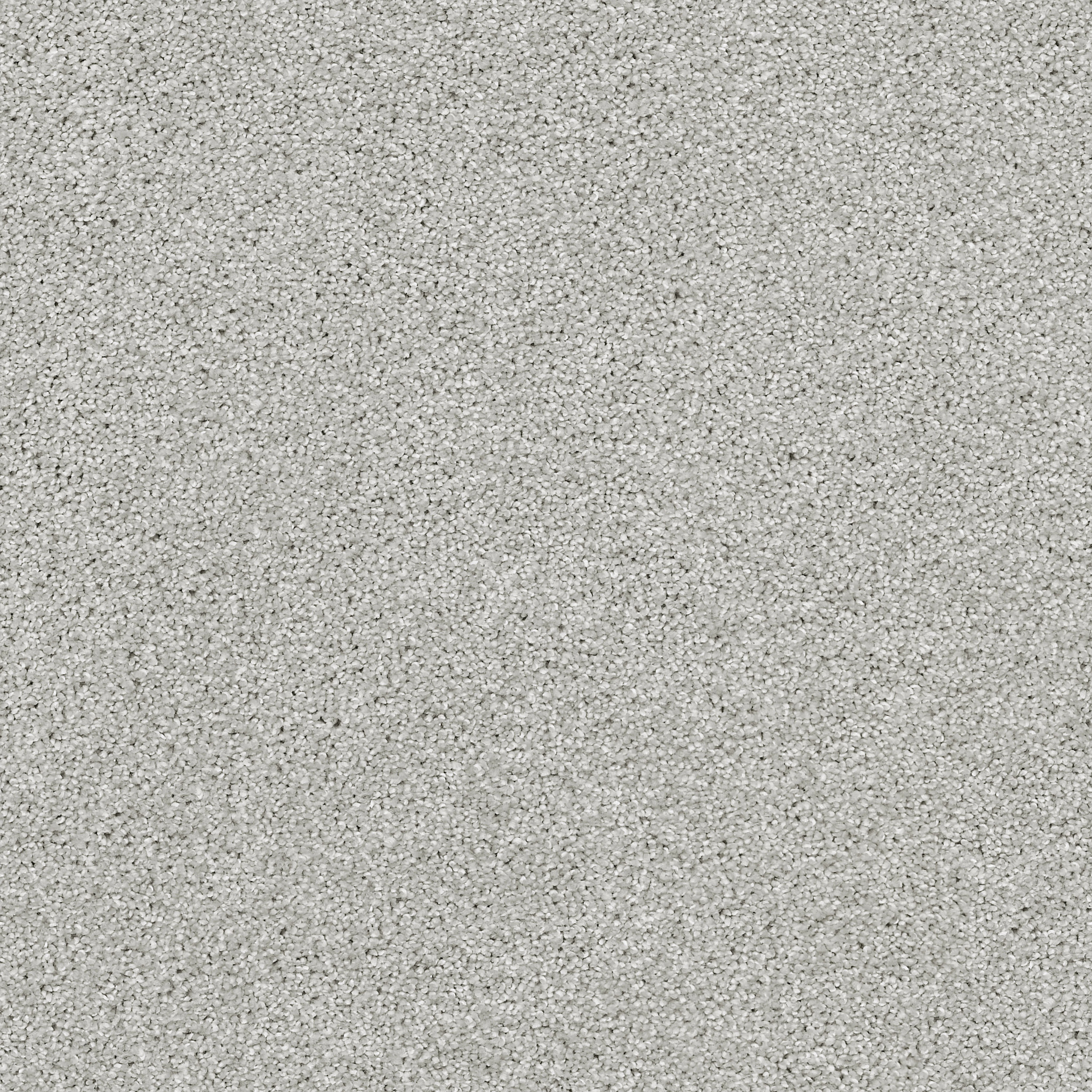 ALWAYS READY I VAPOR MAIN