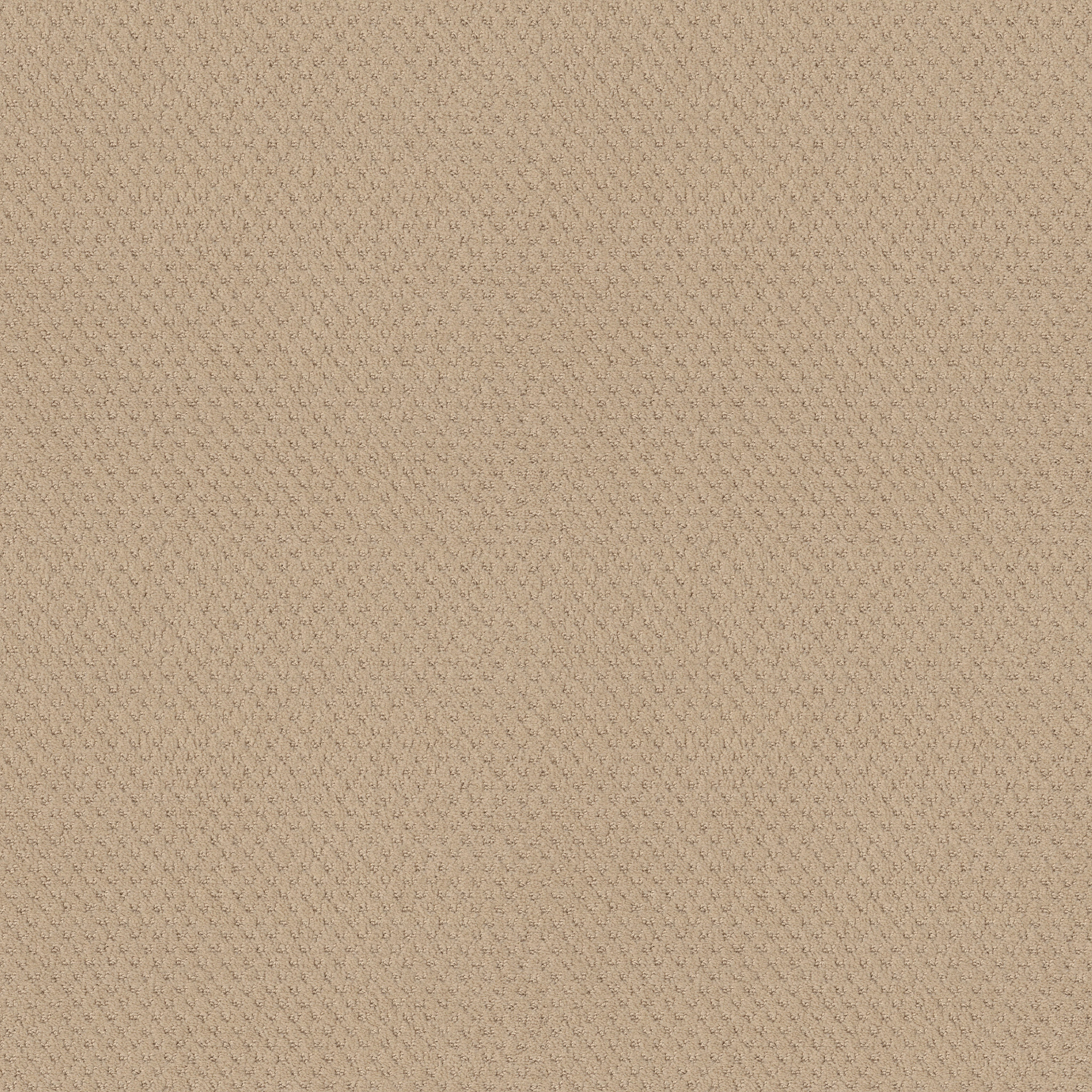 DEL VISTA CORNFLOWER MAIN