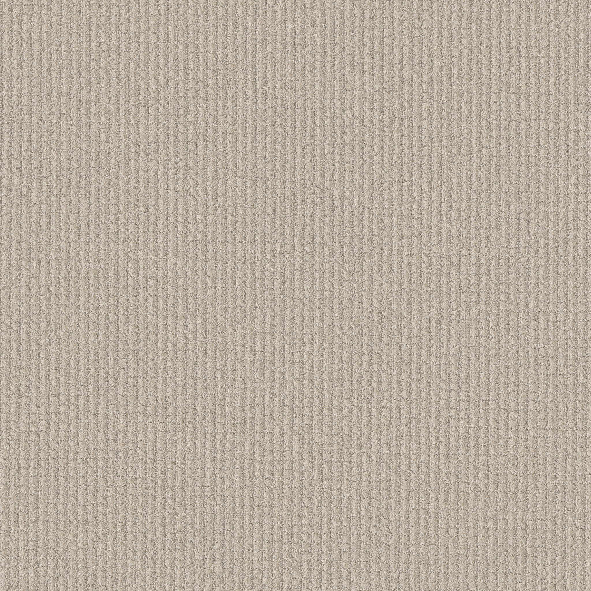 AERIAL ARTS CANVAS MAIN