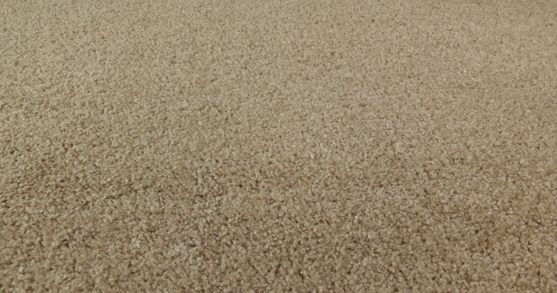 OCEAN PINES 12' REED 360PROD