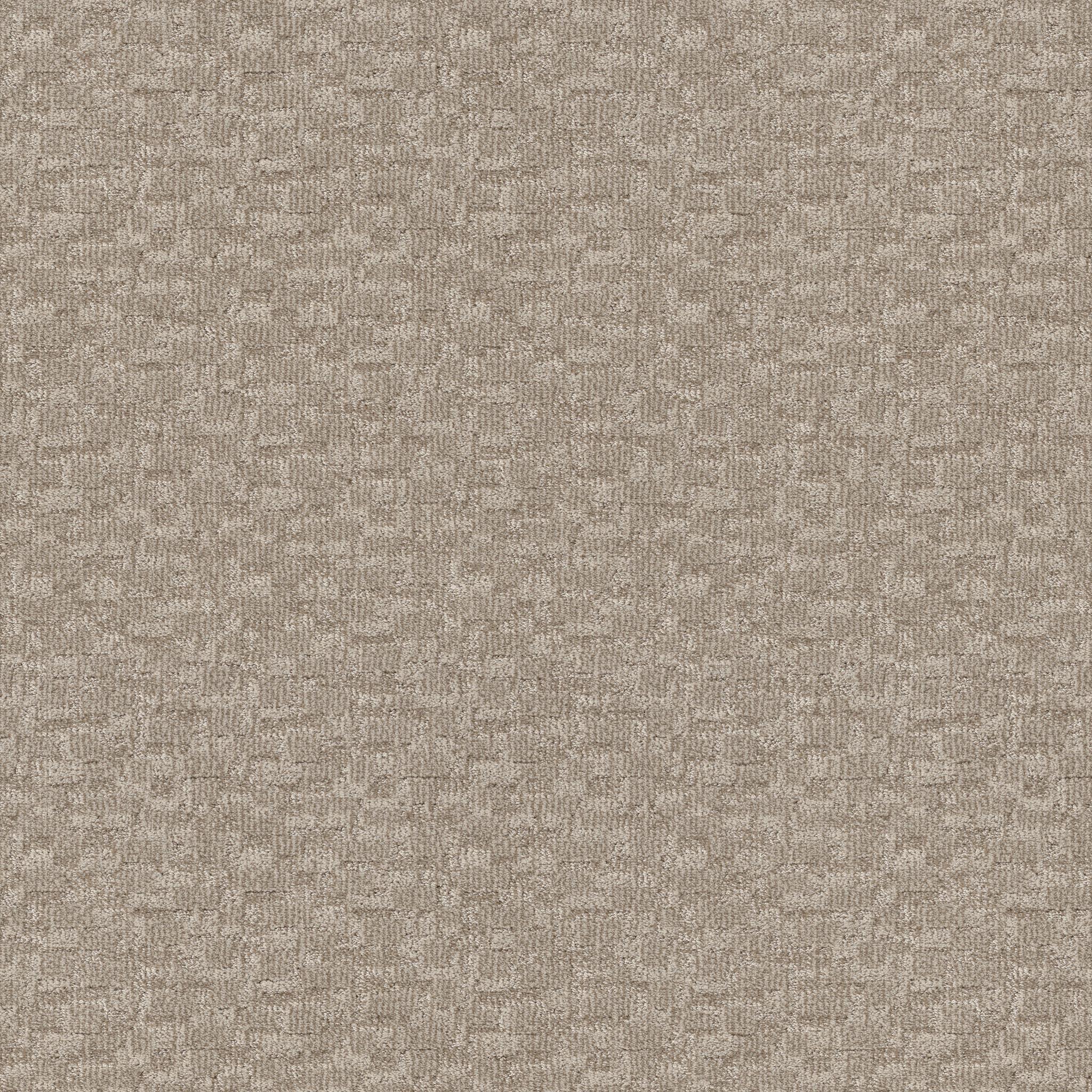 Paw-Tay in Birch