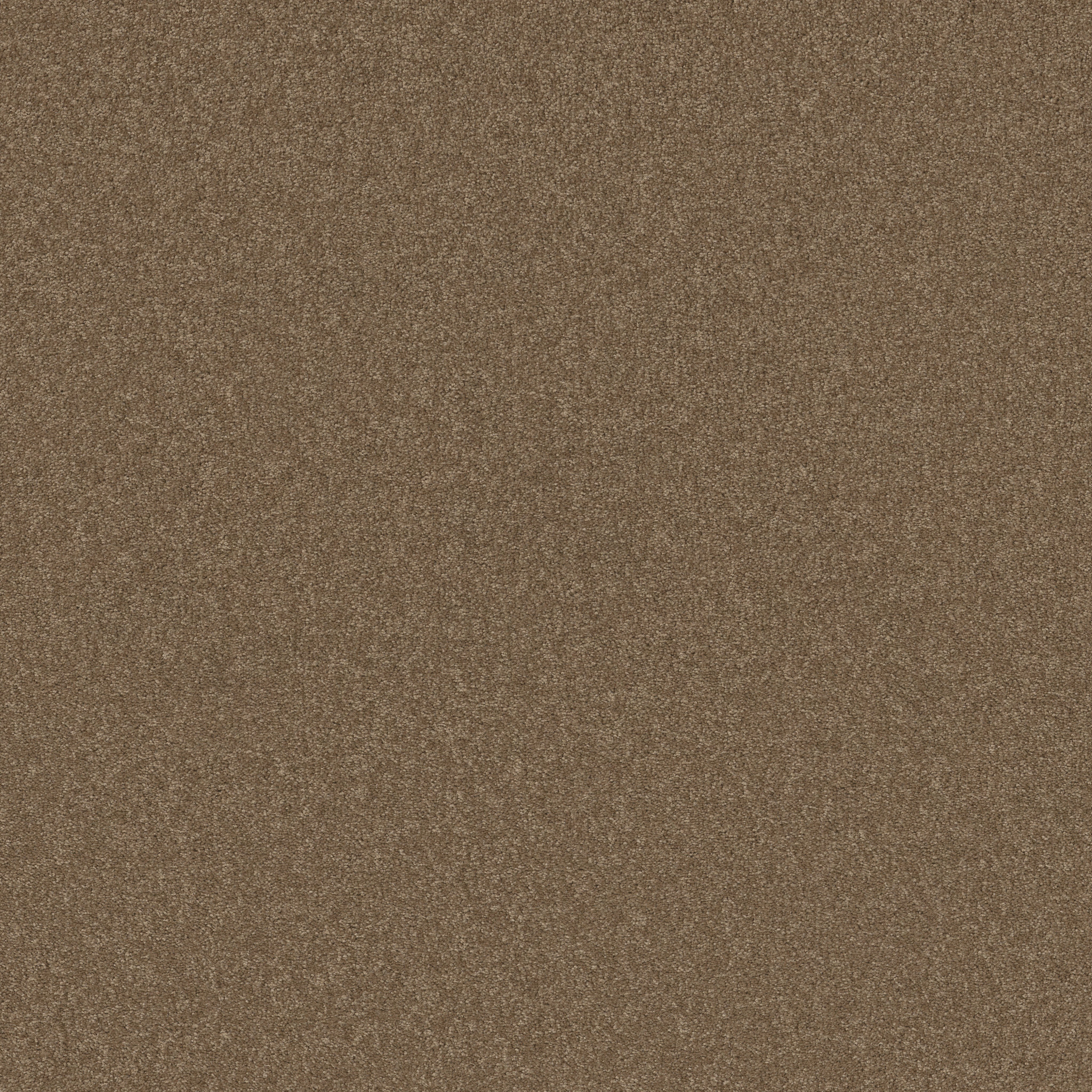 PERFECTLY TIMED ACORN MAIN