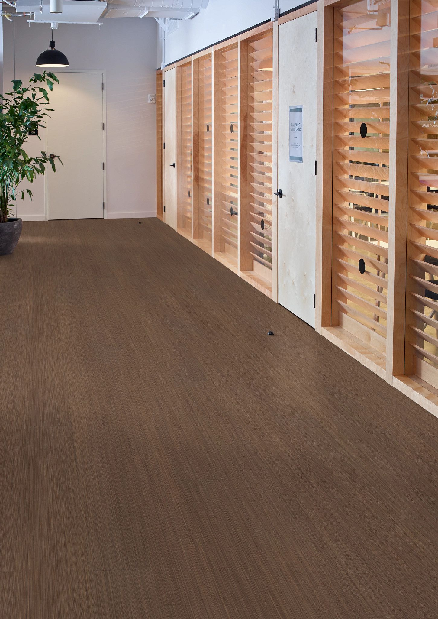 PHILOSOPHER'S-TREE-5599V-AGATE-00715-room-image