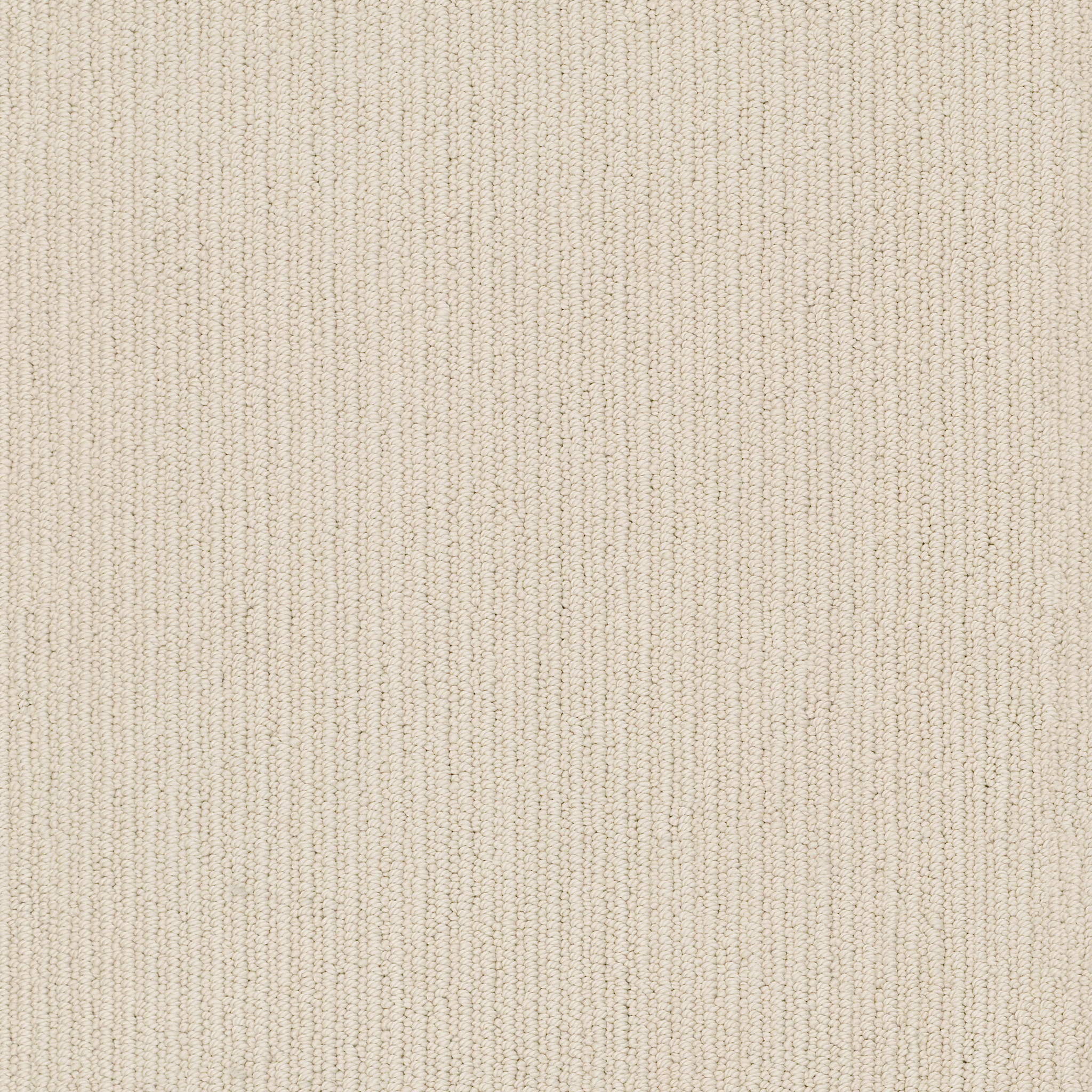 DYNASTY WINTER LIGHT MAIN