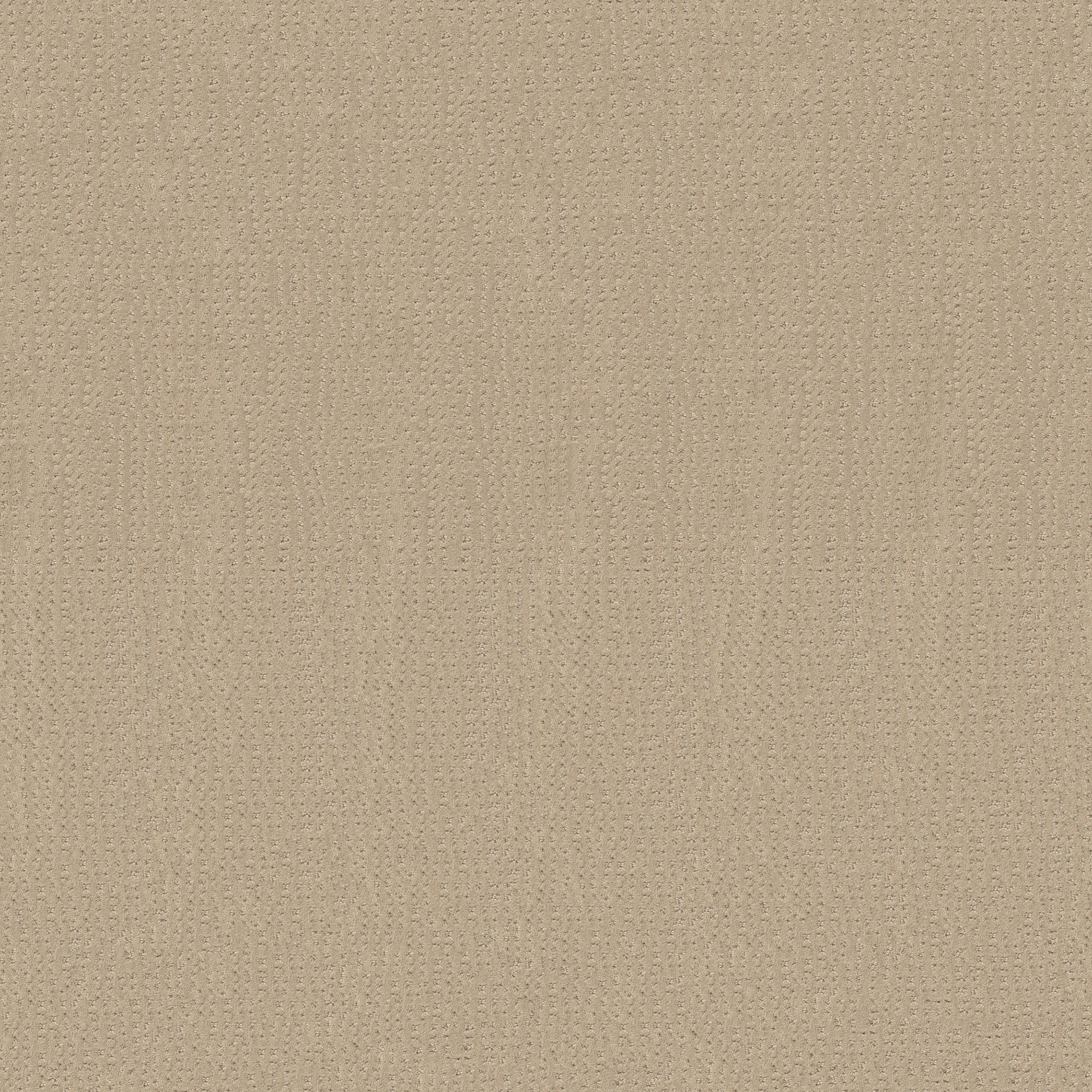 VIVID MEMORIES SUN KISSED MAIN