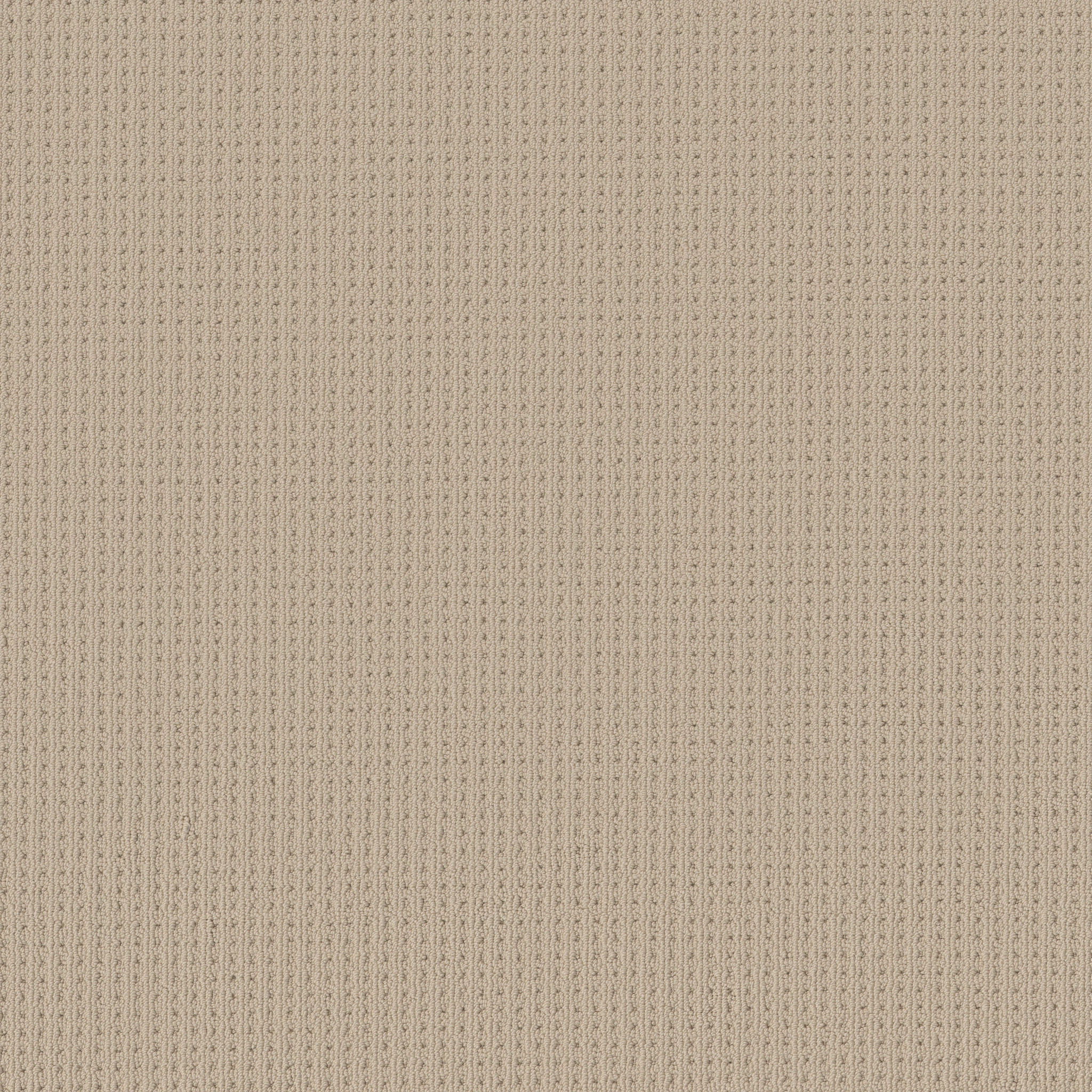 SAN LUCAS BISCUIT MAIN