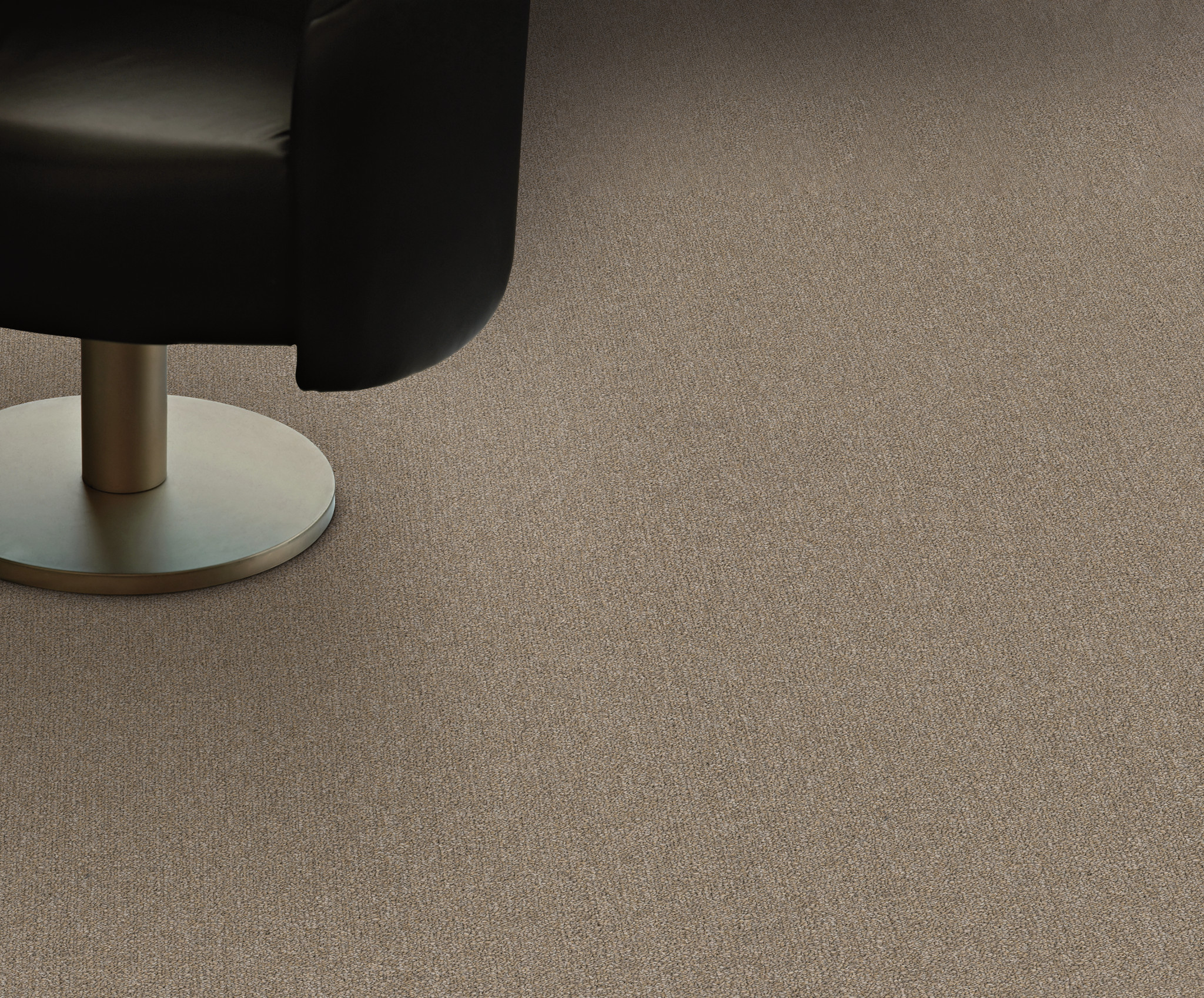 PROFUSION 20 54933 MASSES 00200 room image