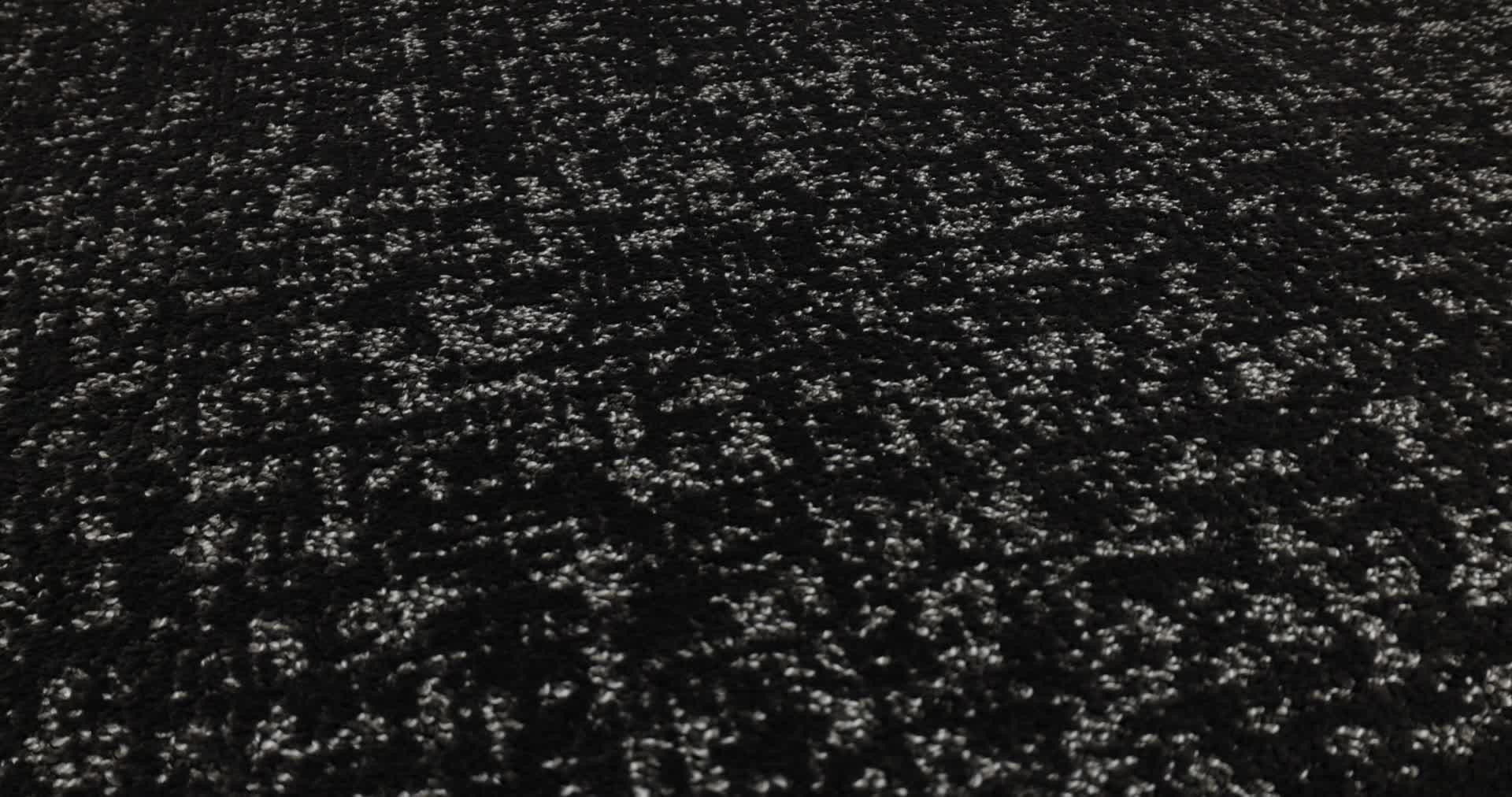 HOME WITHIN CAFE NOIR 360PROD