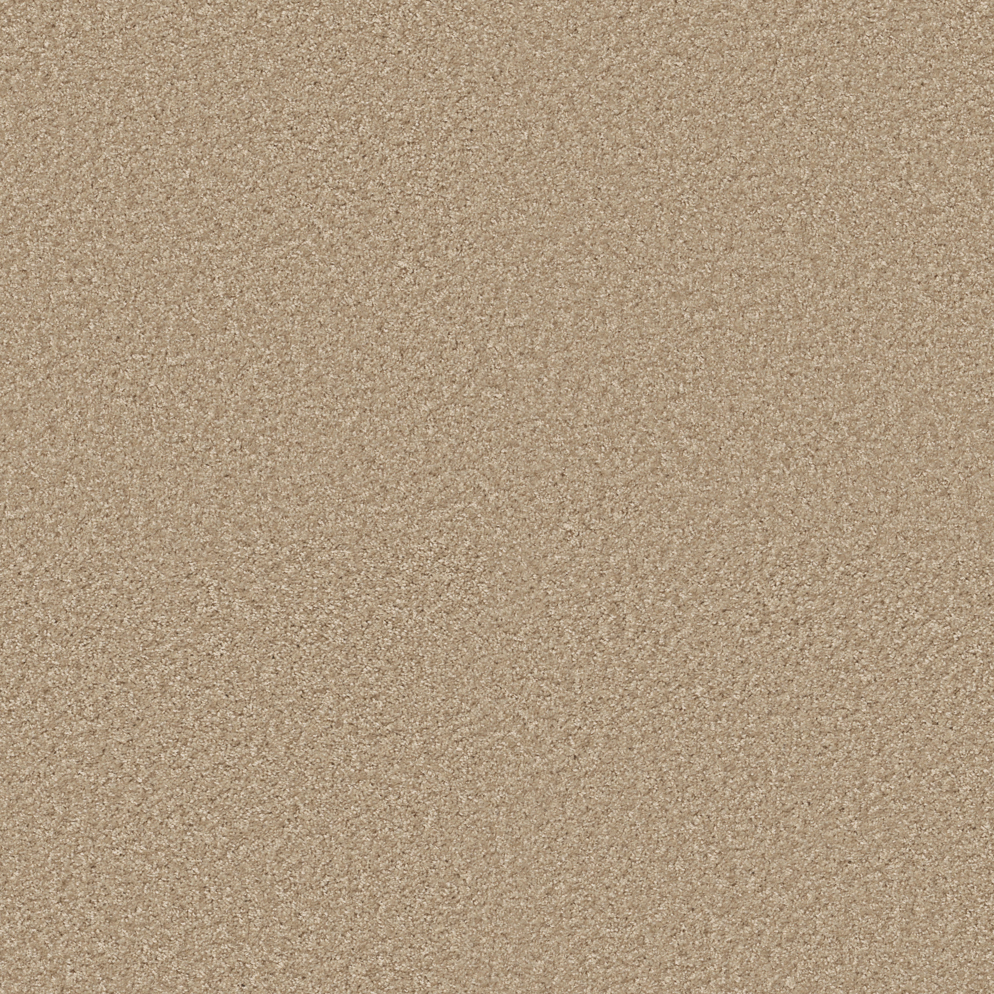 COLESVILLE 12' MUSLIN MAIN