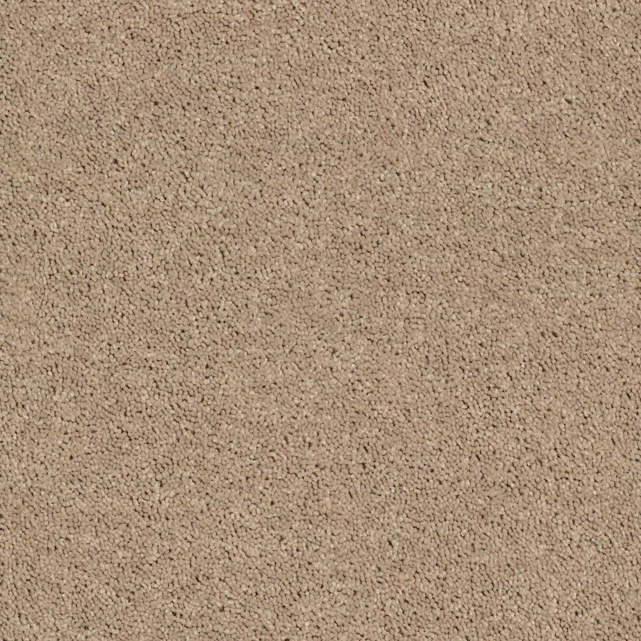 ROYAL PORTRUSH II 12' TASSEL MAIN