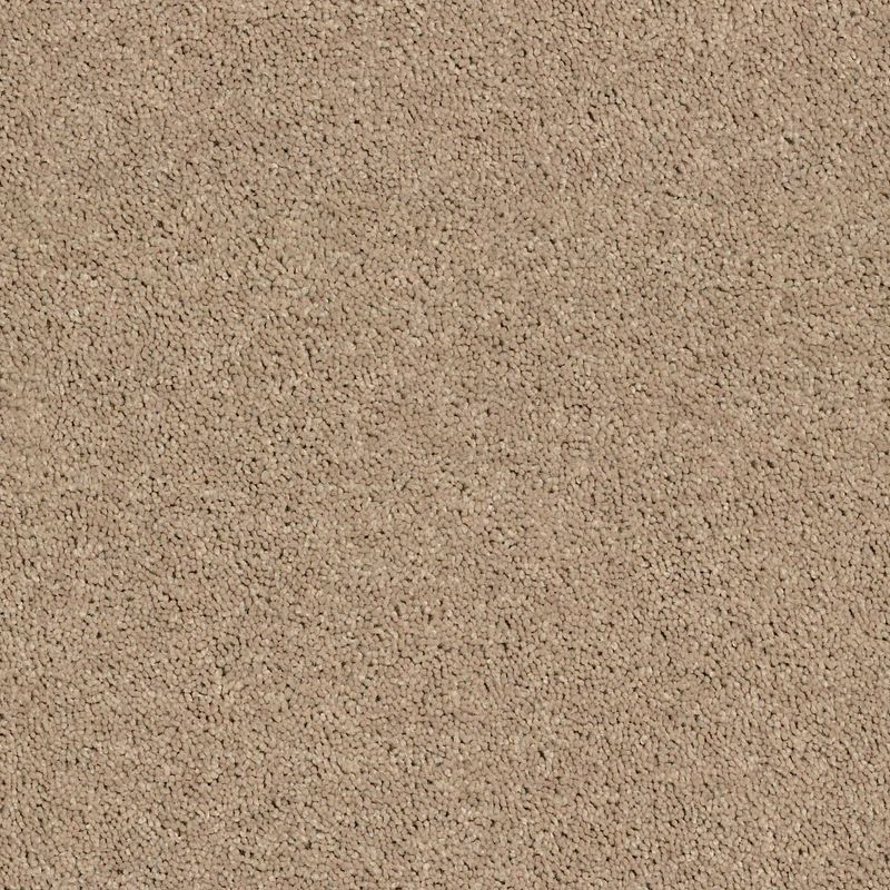 North Shore Beach SNS21 Carpet in Tassel, Taffy, and Ink Spot colors, made from 100% PET material, 12ft wide