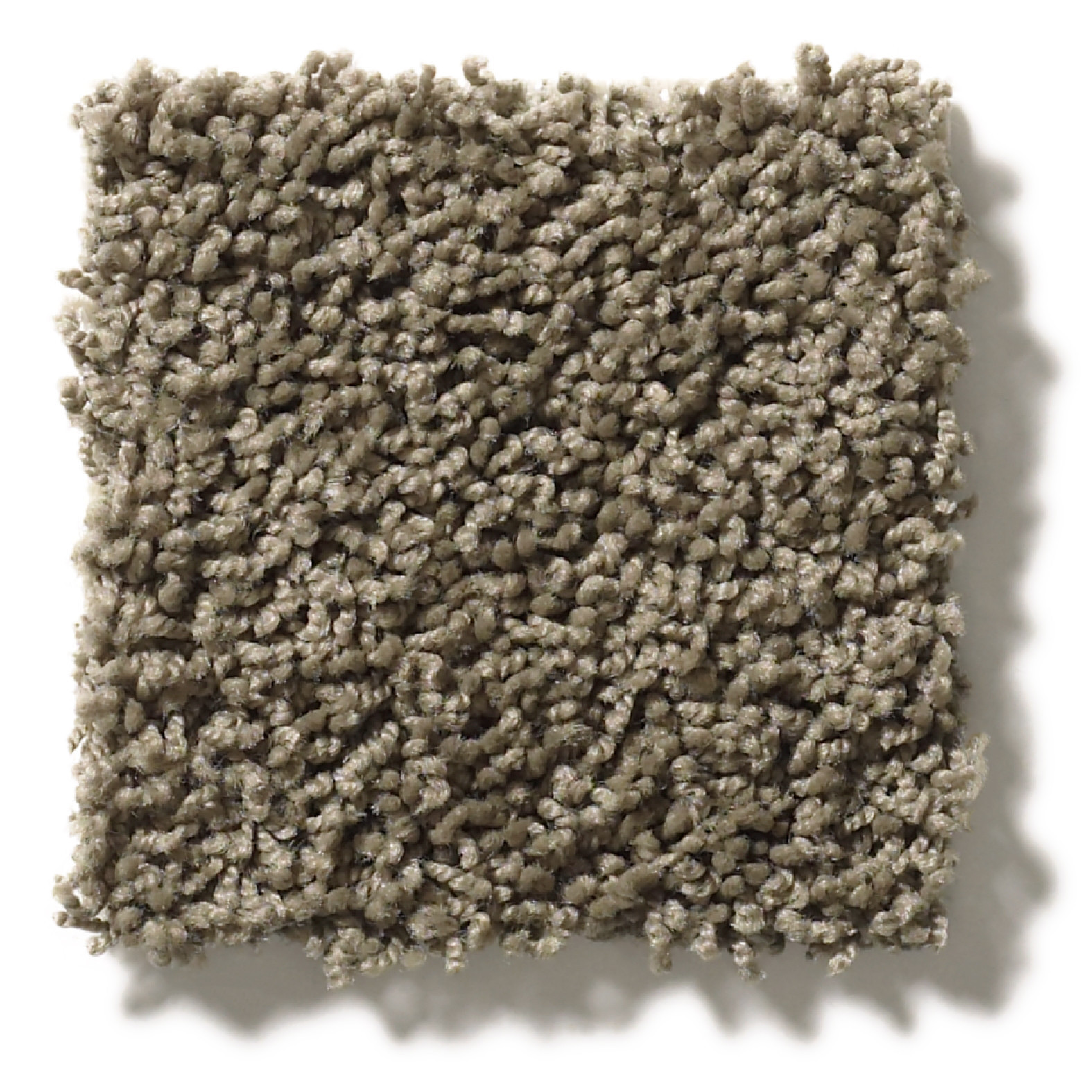 DEL MORRO DENALI SWATCH