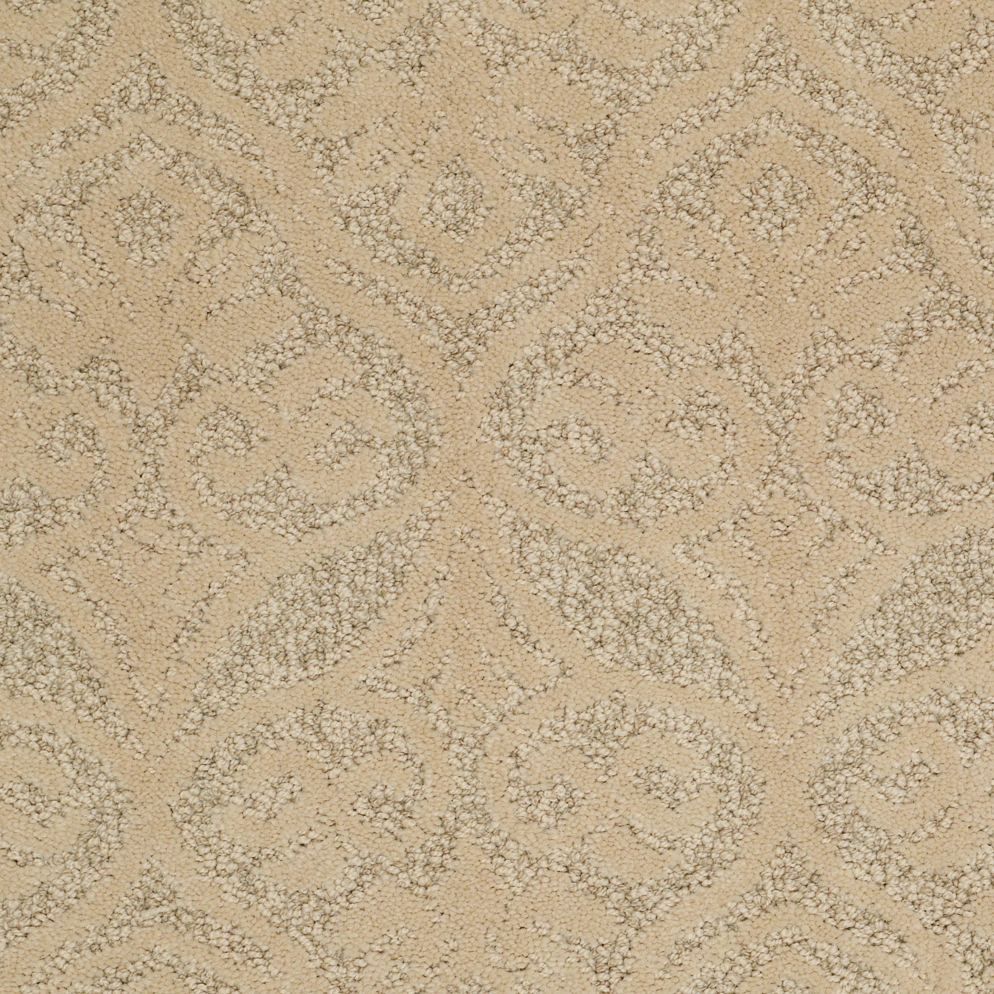 HEIRLOOM ATHENS YEARLING MAIN