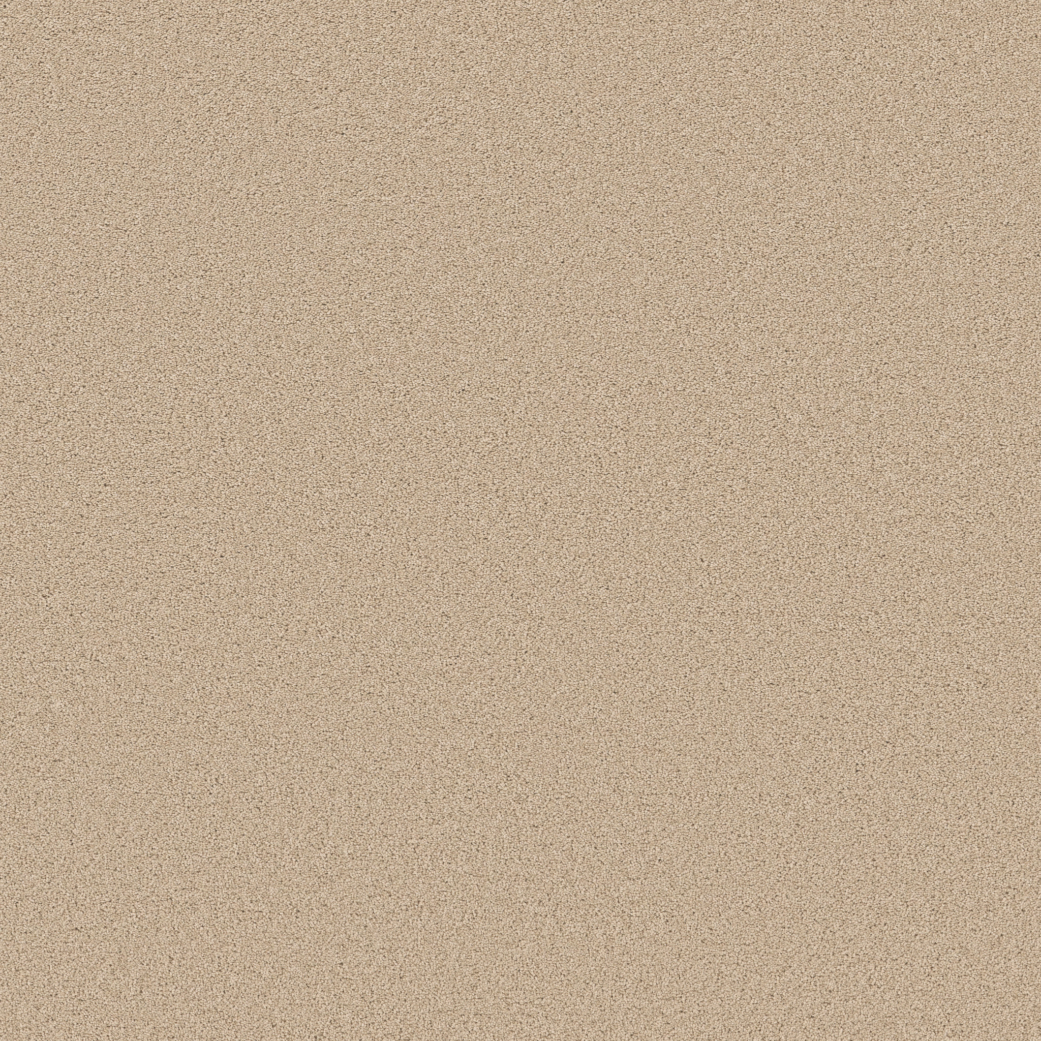 VELVET TOUCH I CASHEW MAIN