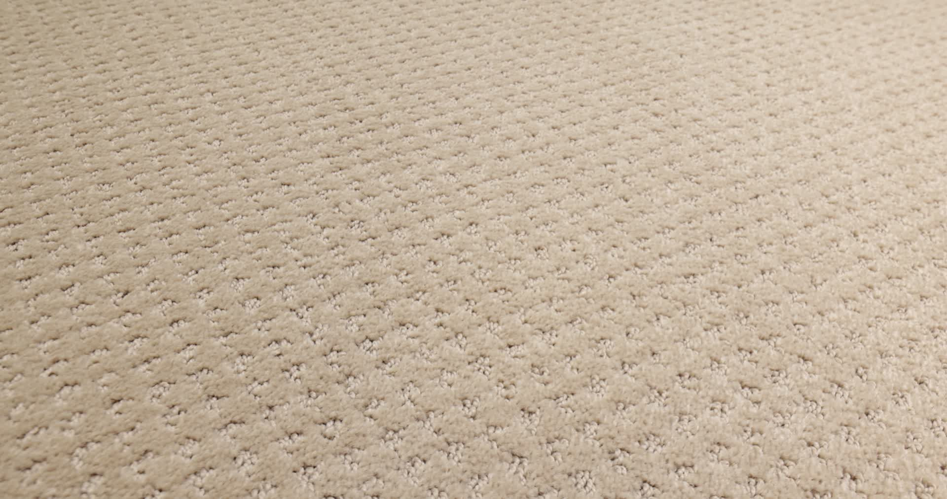 DEL VISTA TERRAZO 360PROD