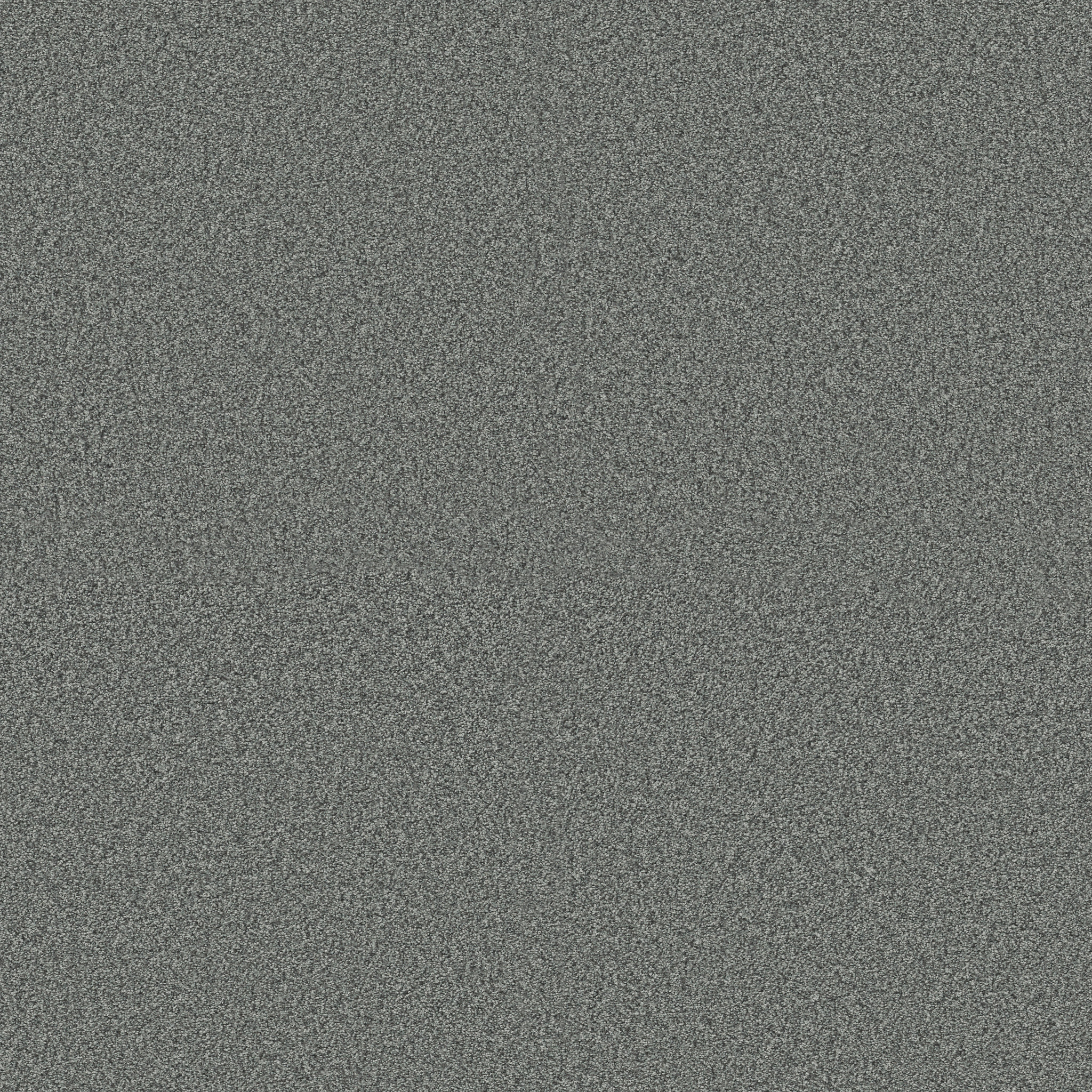 Find your comfort II - Tonal LIGHTHOUSE SHAD MAIN