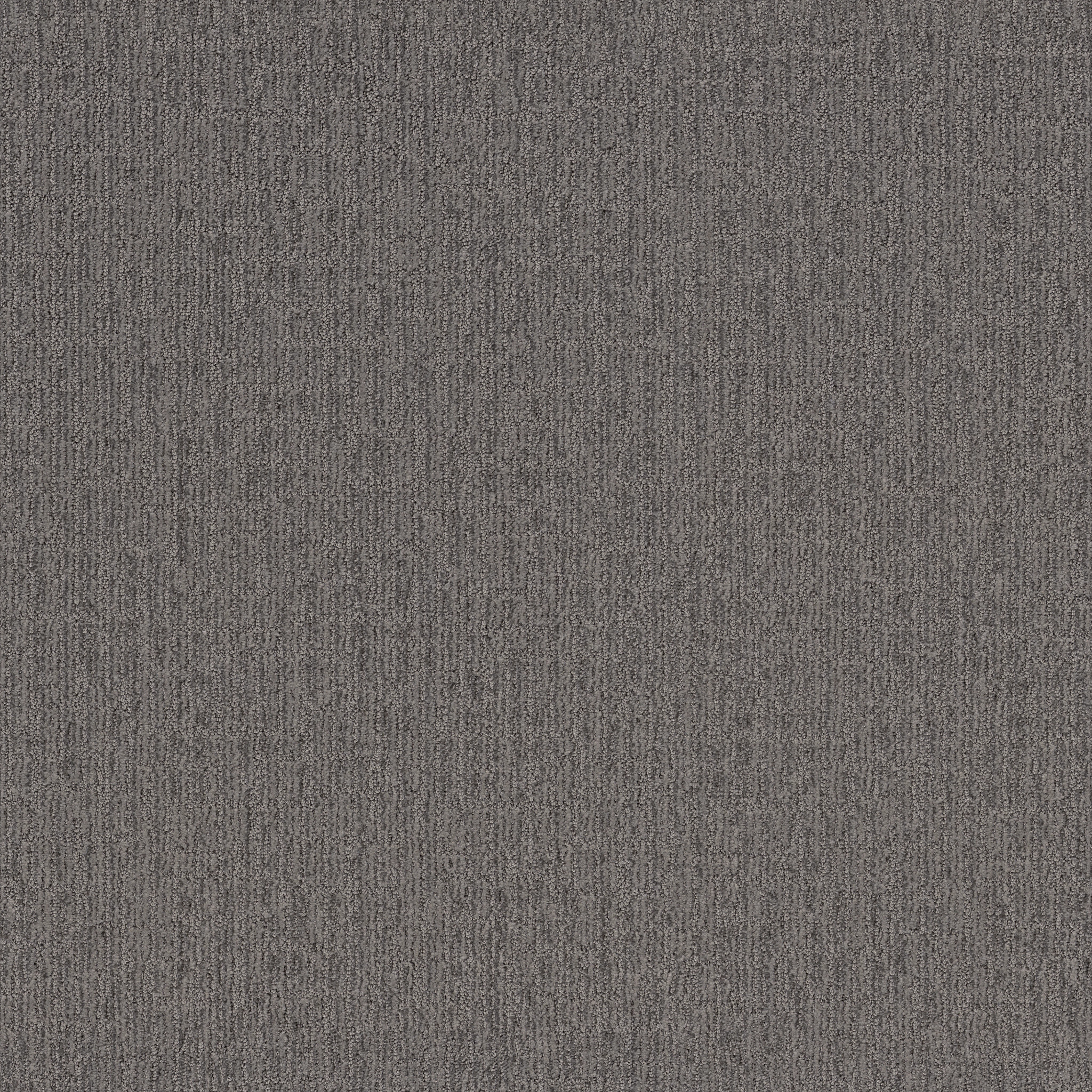 WANDERER SHARKSKIN MAIN