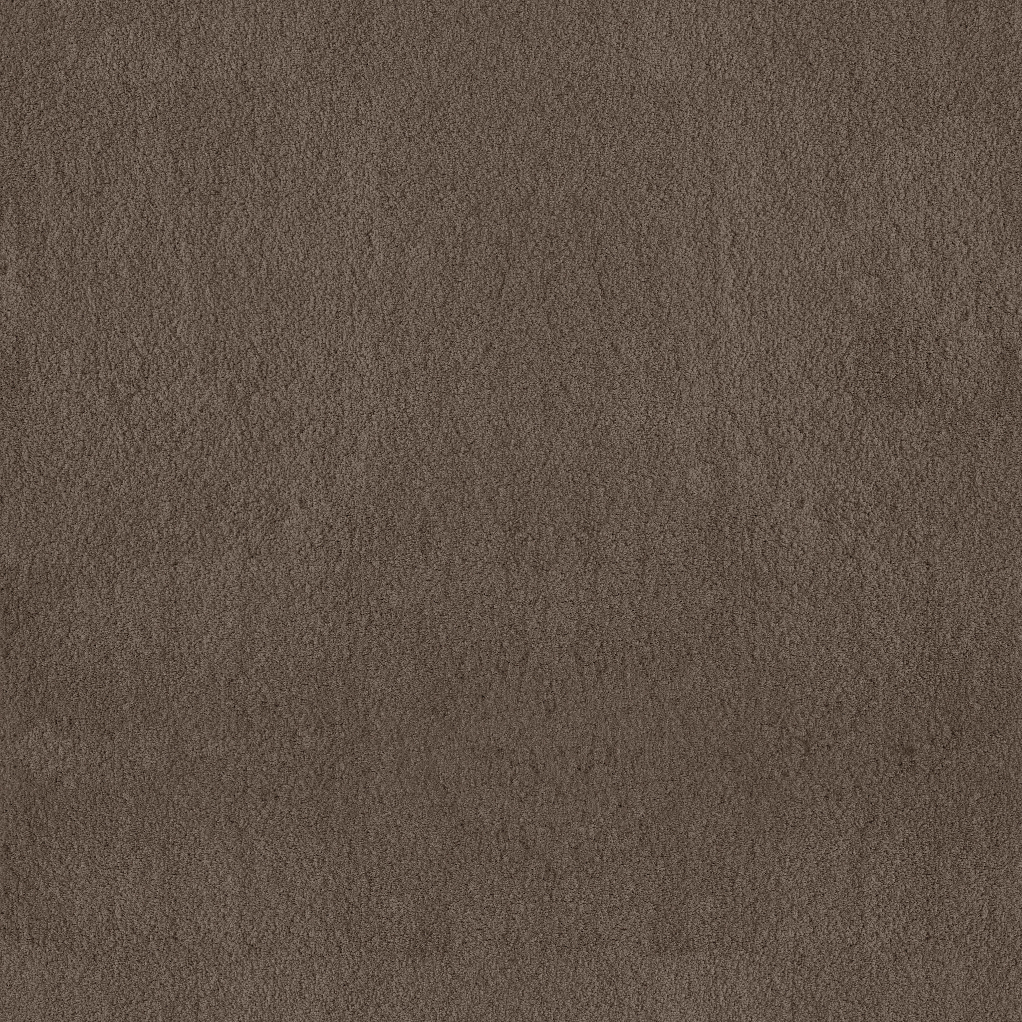 LUXE FEEL I MESQUITE MAIN