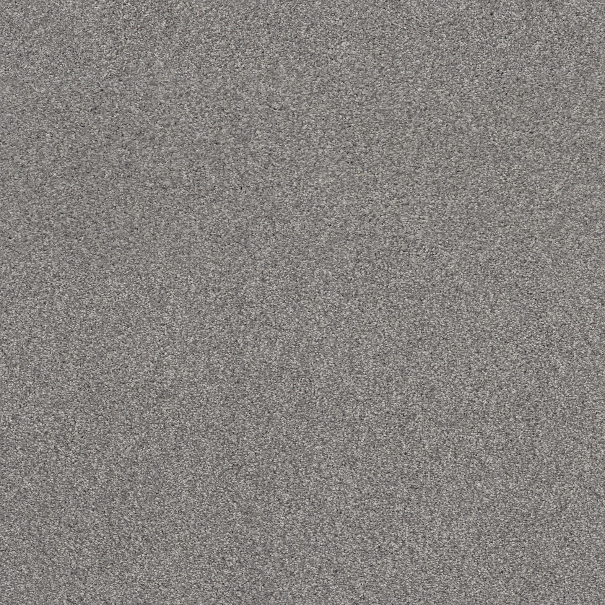 COZY HARBOR I GROUNDED GRAY MAIN