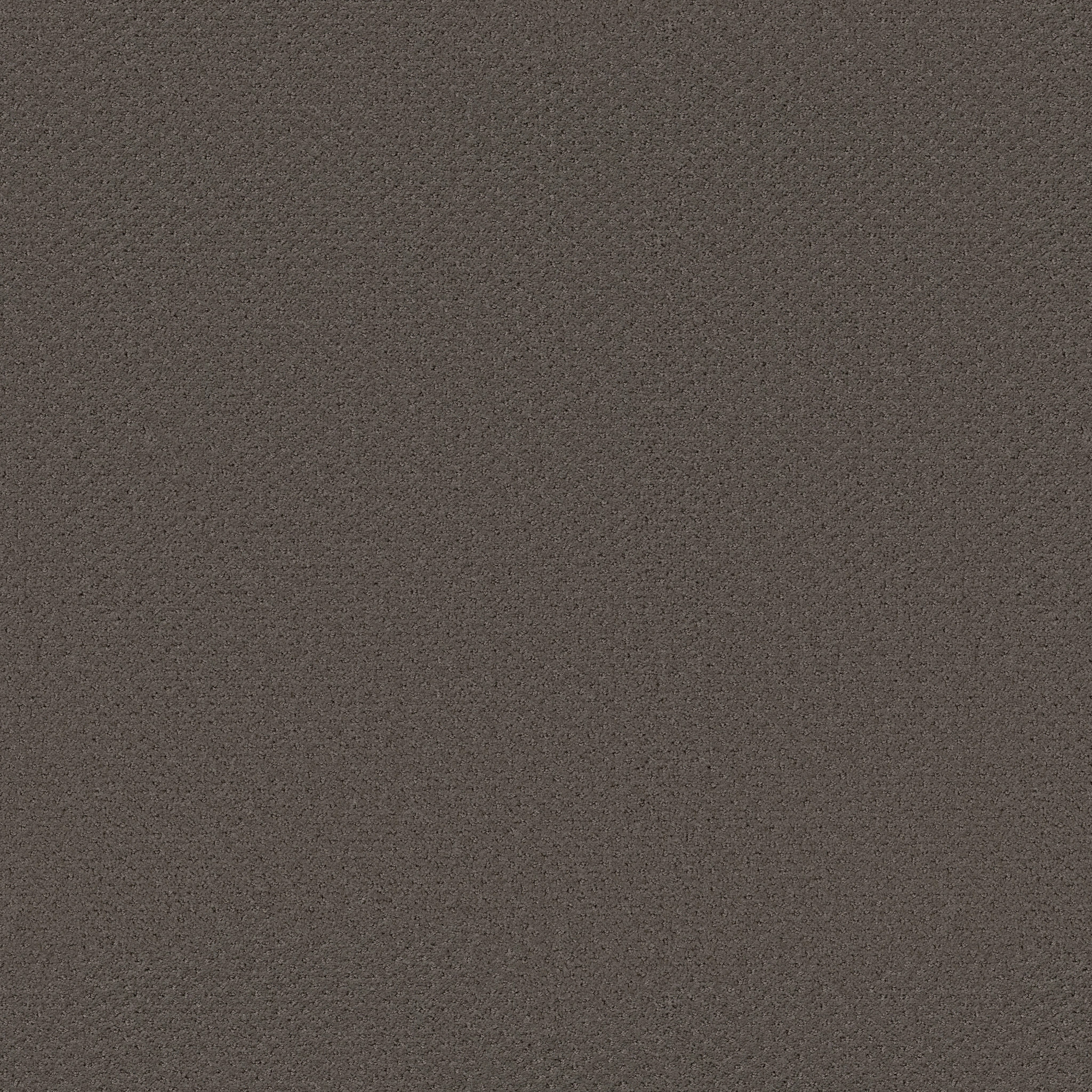 INFALLIBLE INSTINCT FRONT GATE MAIN