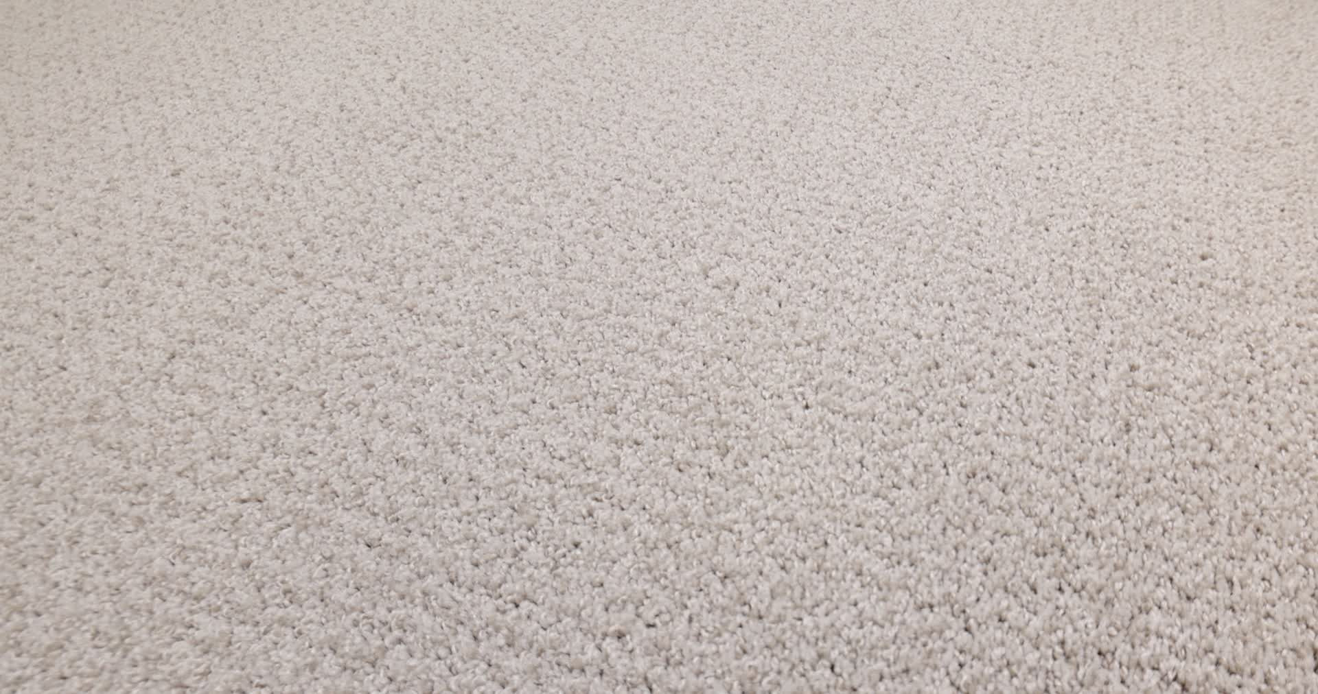 FINE TAPESTRY FOSSIL PATH 360PROD