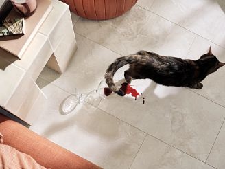 A cat spilling a glass of wine will walking across a Coretec Tile Floor