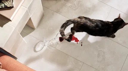 Durable and scratch-resistant luxury vinyl tile flooring with Coretec Mineral Core 23.62x11.81 inch Cat walking on waterproof luxury vinyl tile flooring with spilled wine glass