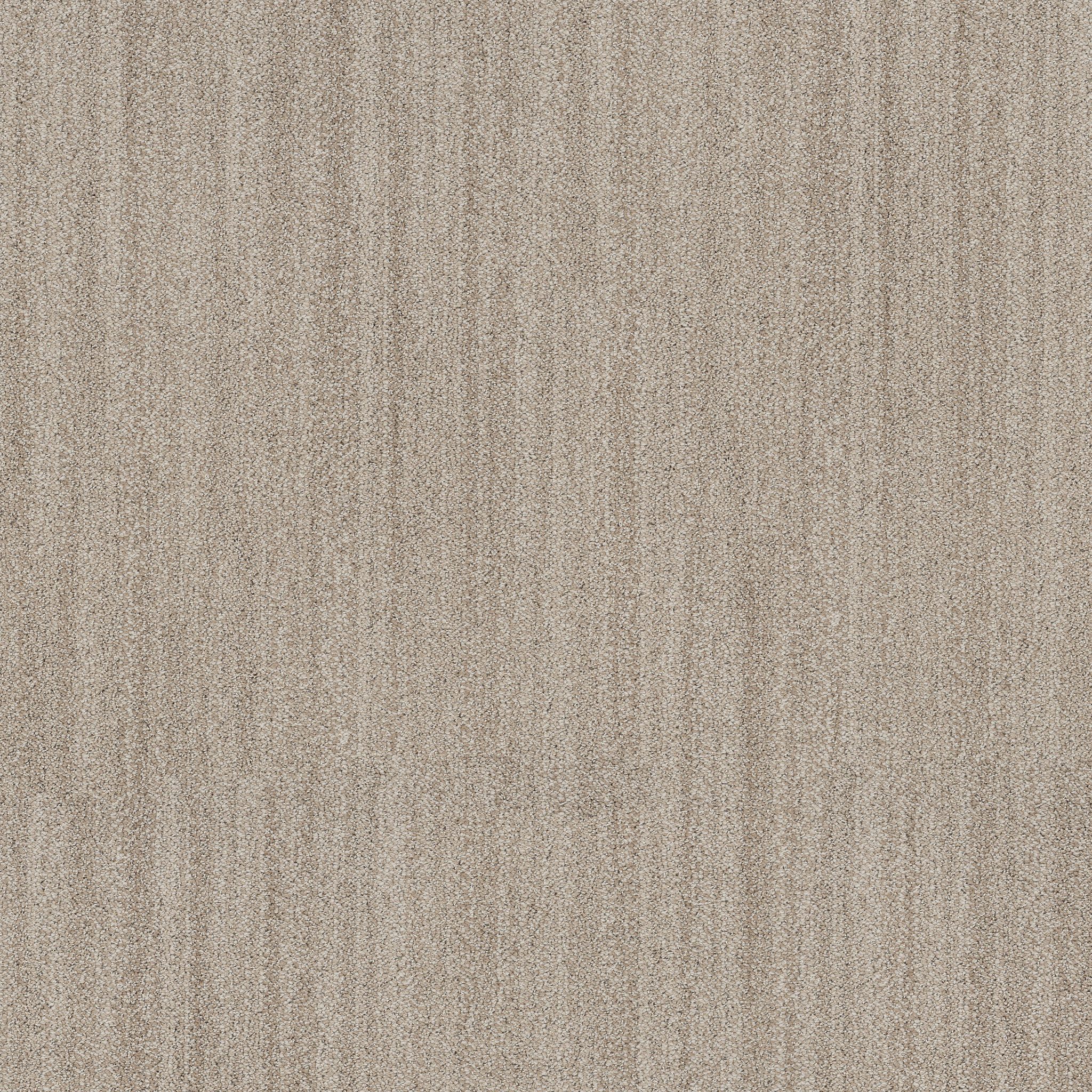 IN TEMPO OATMEAL MAIN