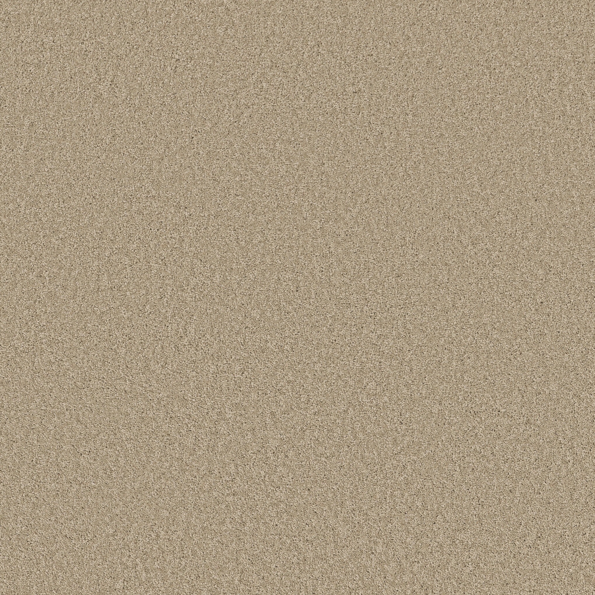 LAGUNA BEACH FRENCH CANVAS MAIN