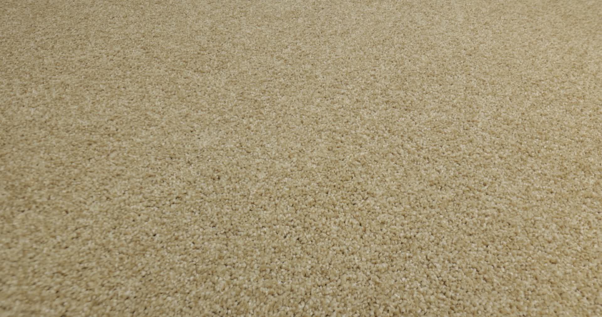 TONAL COMFORT I HELLO SUNSHINE 360PROD