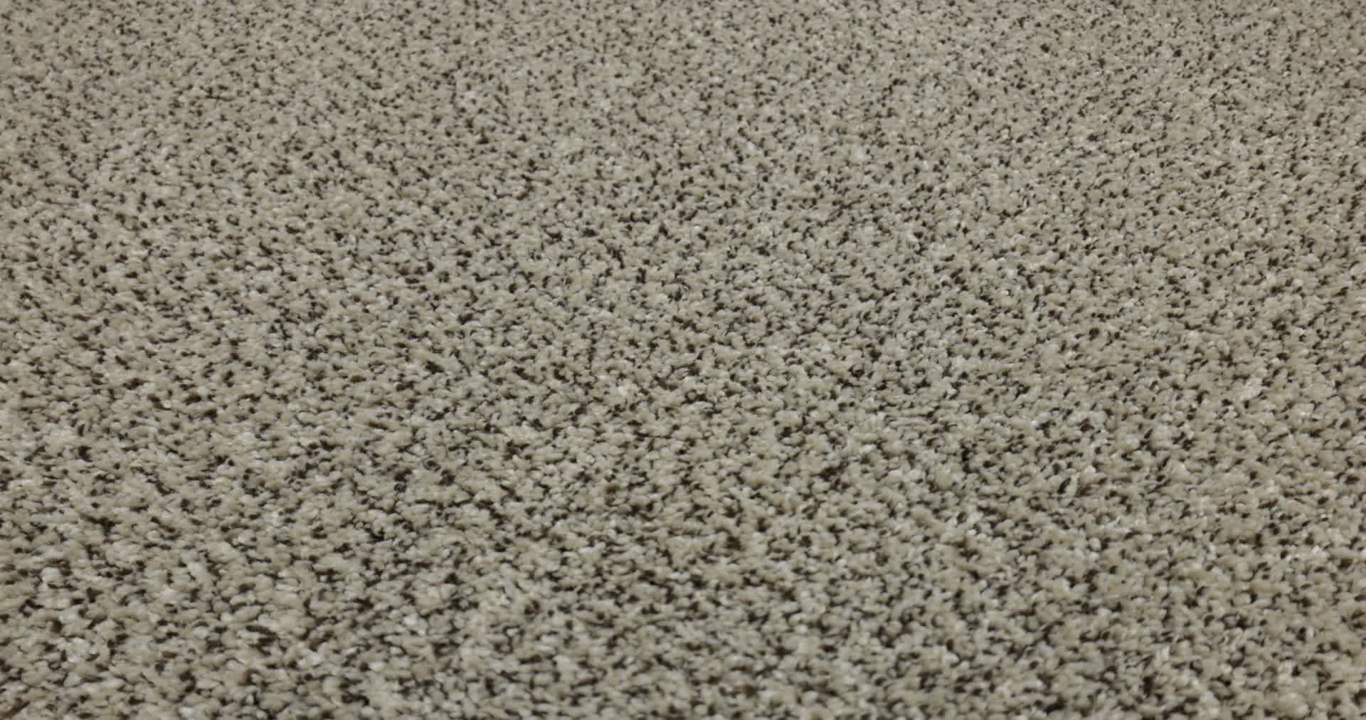 HIGH IMPACT B POINT BEACH 360PROD