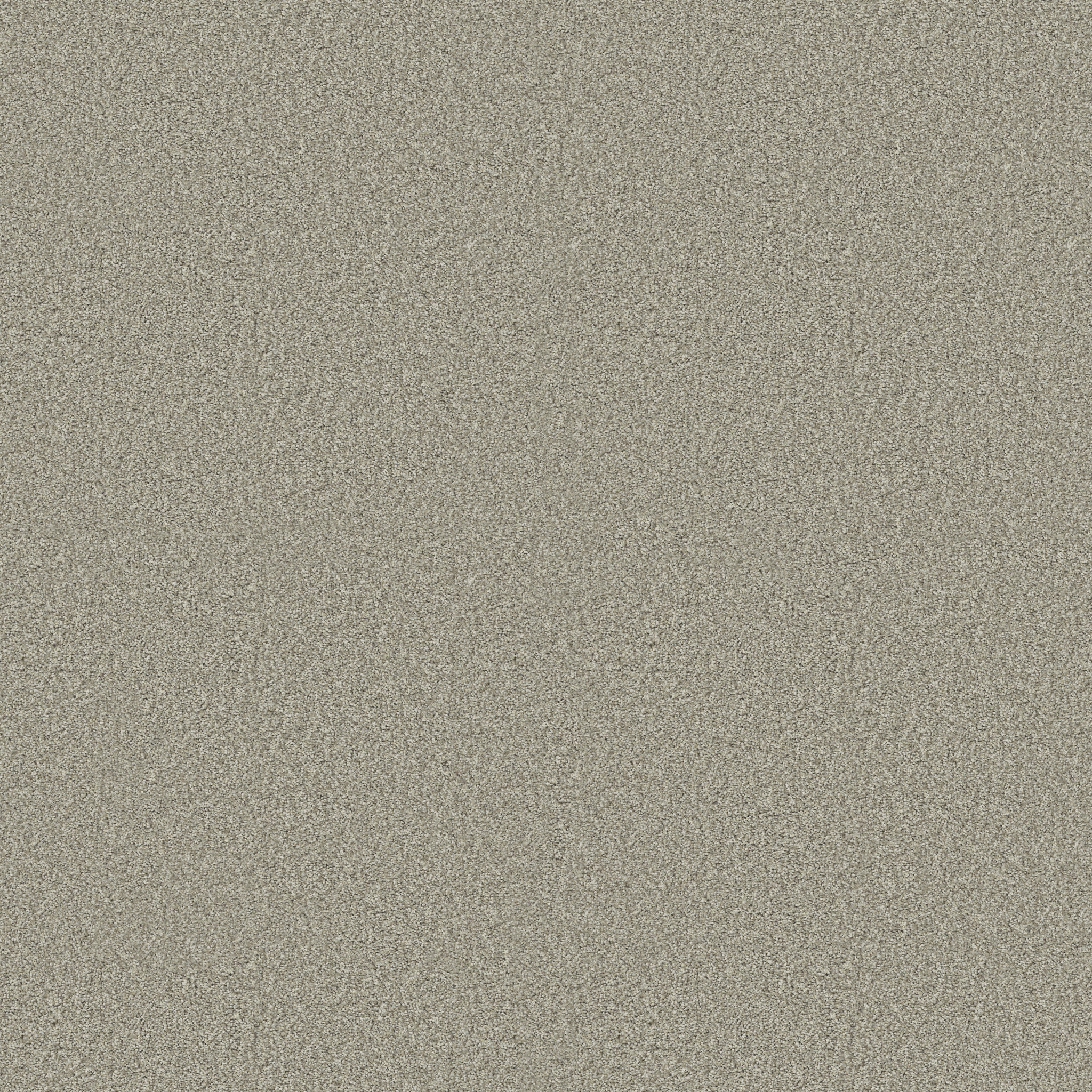 TONAL COMFORT I WILLOW TREE MAIN