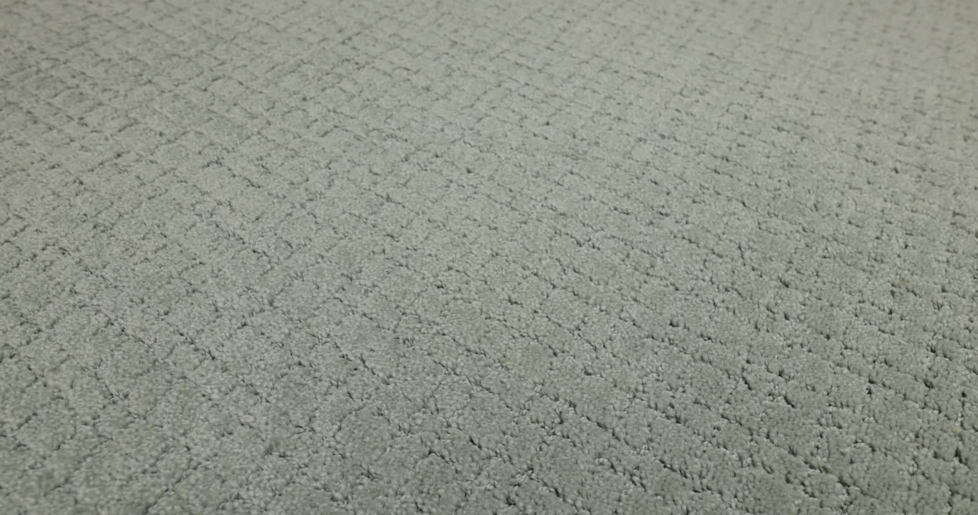 MOSAIC PINE FOREST 360PROD