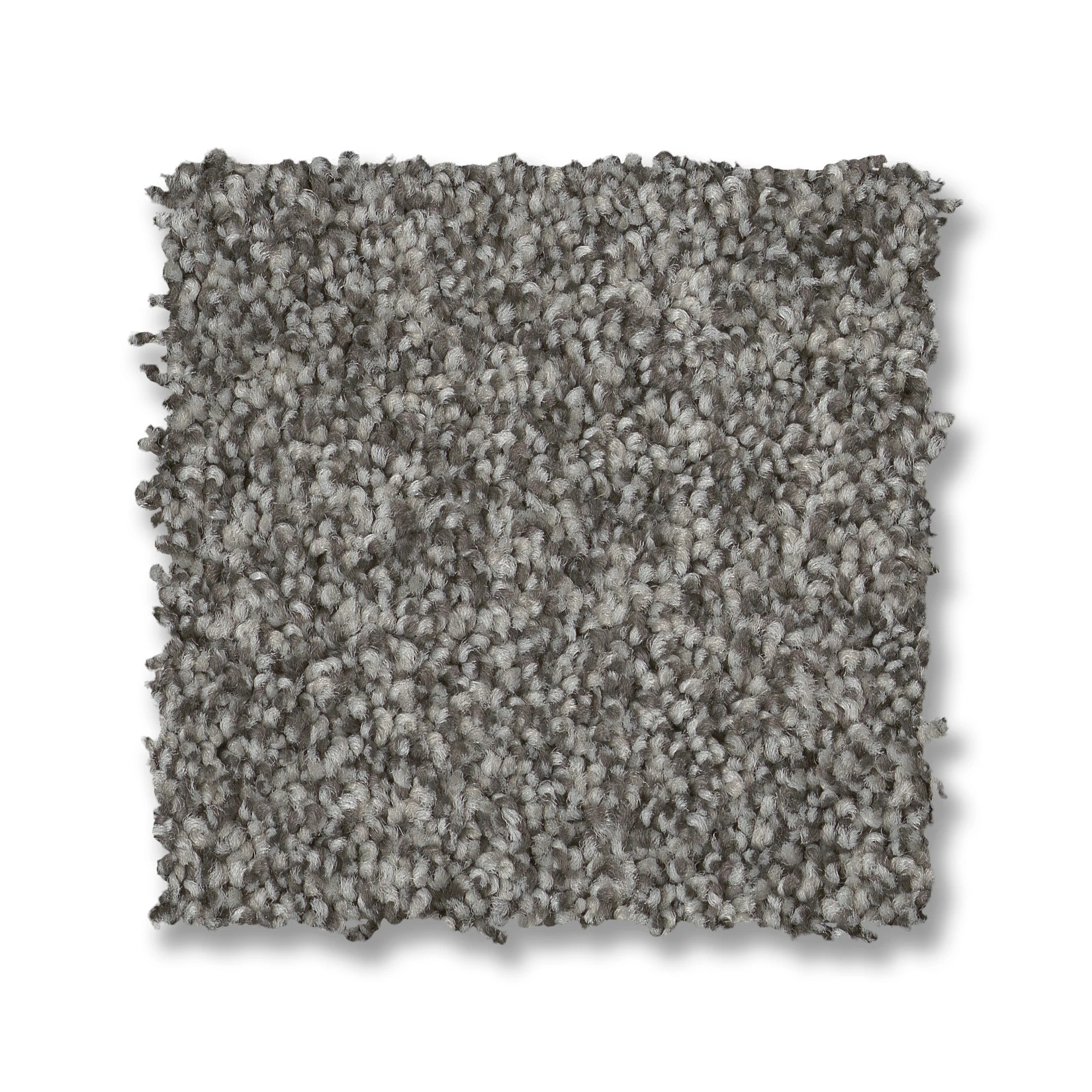 TERRA NOVA LUNAR SWATCH